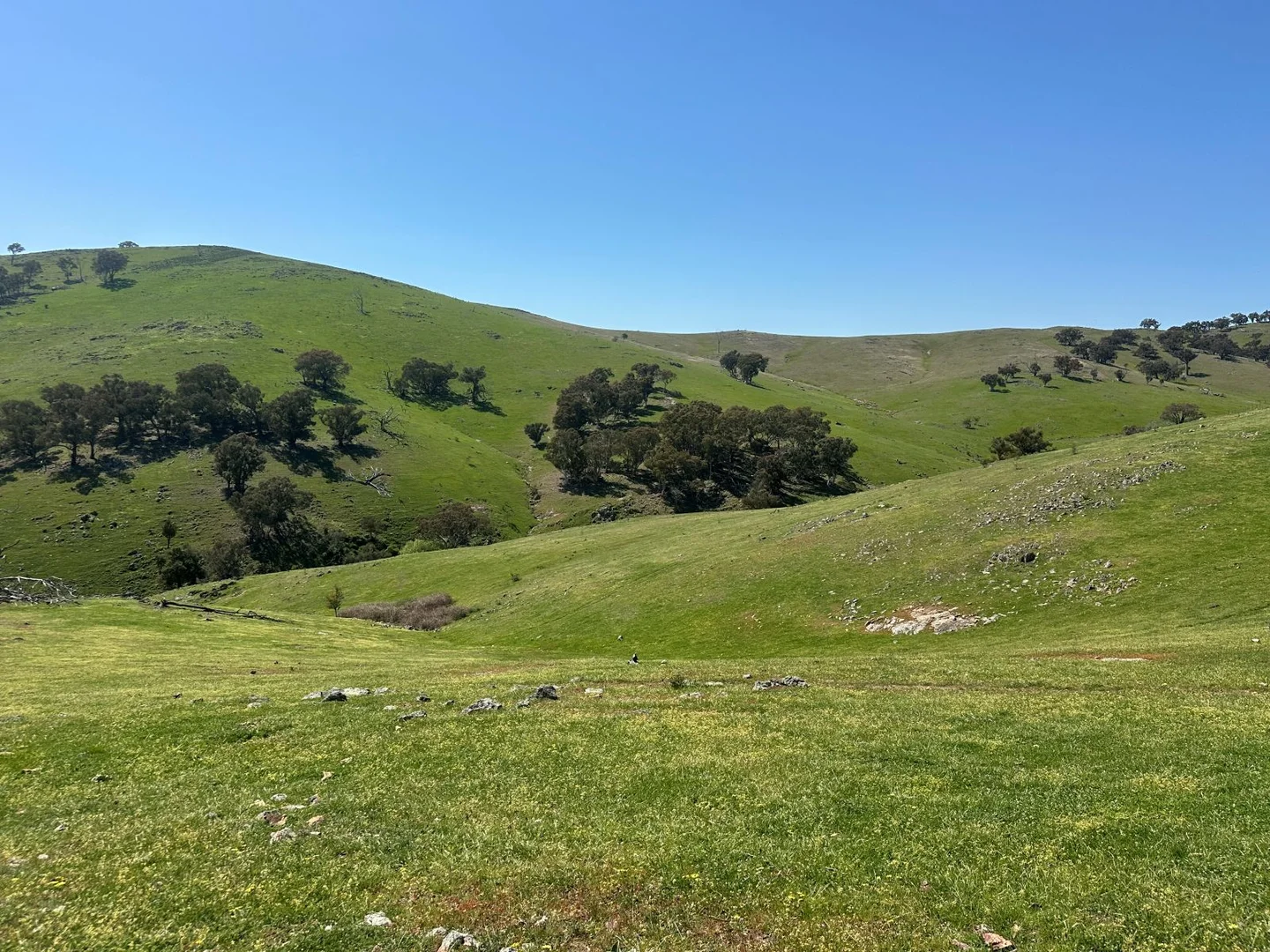 Additional image 8 of 1208 Sawyers Gully, Yass NSW 2582