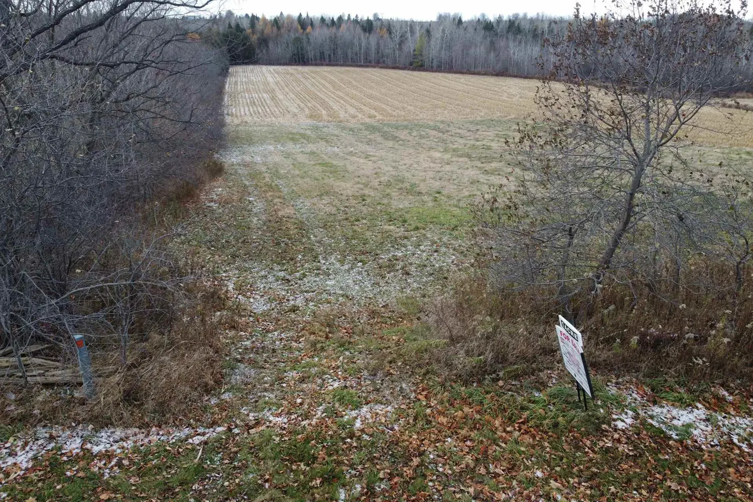 Additional image 9 of 5258 Third Line