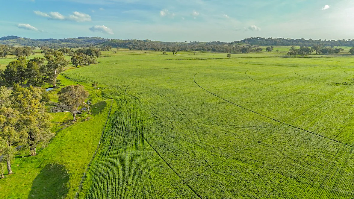 Additional image 13 of 1733 Goolma Road, Gulgong NSW 2852