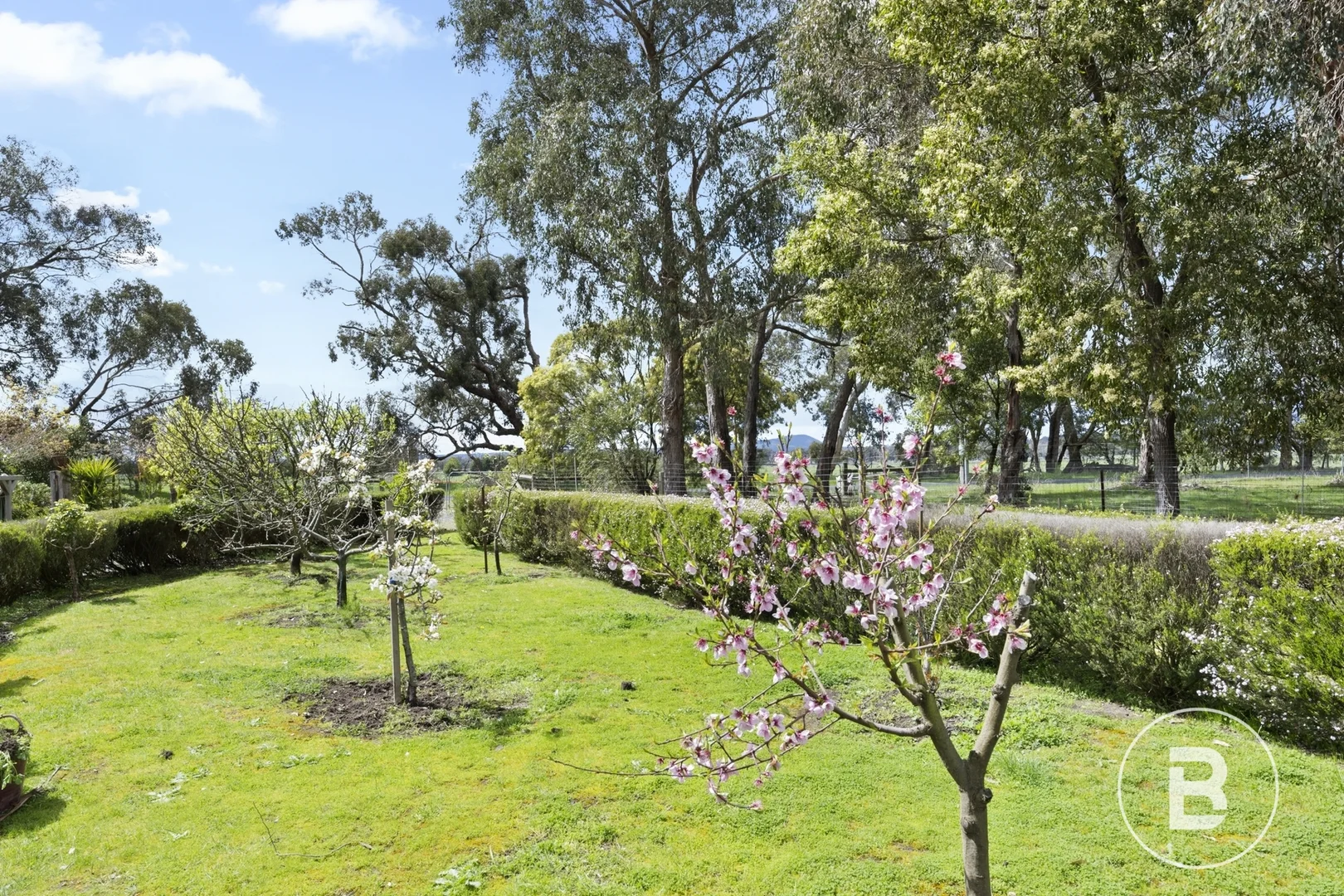 Additional image 21 of 20 Clarkes Road, Enfield VIC 3352