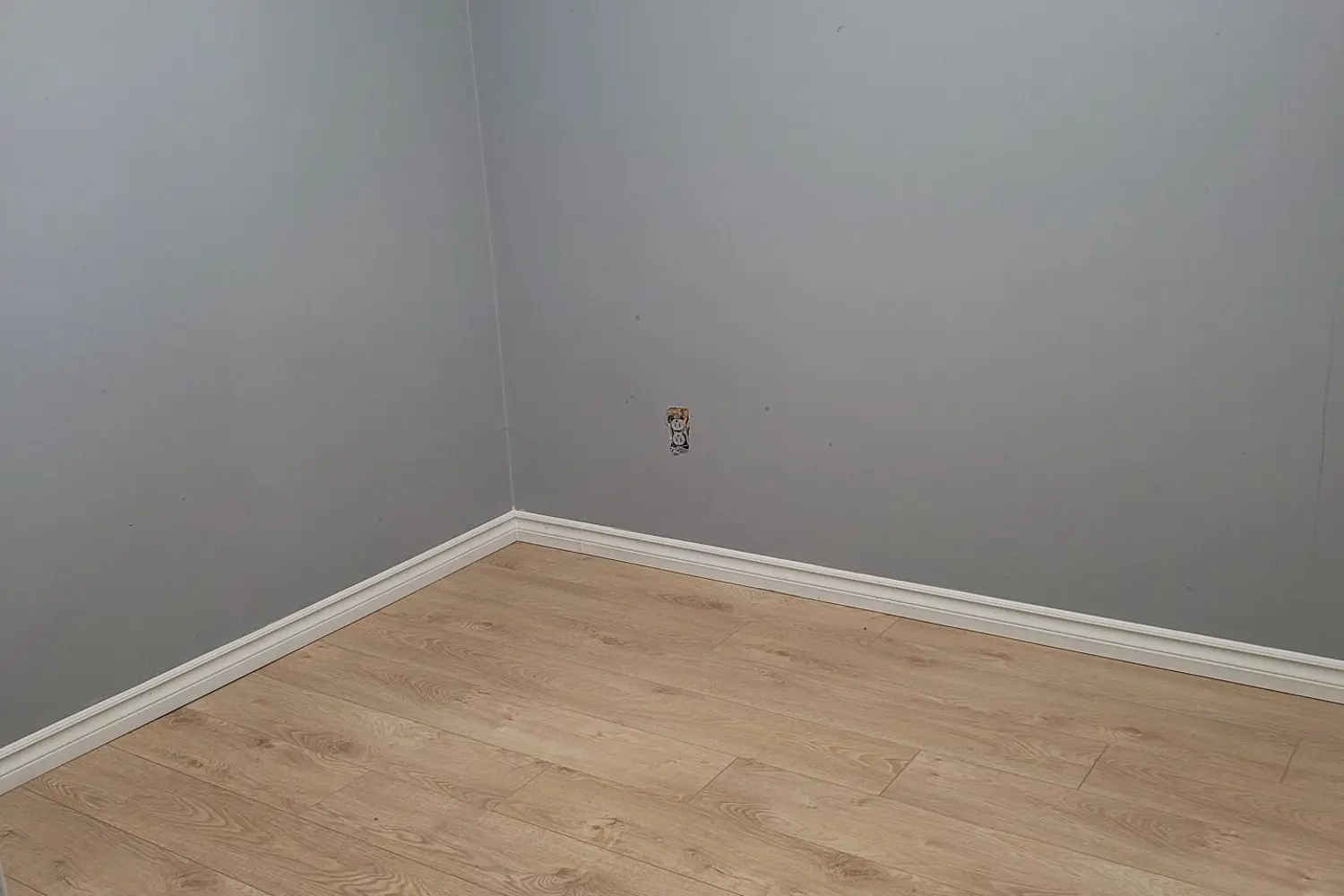 Additional image 16 of 15 Francis Street