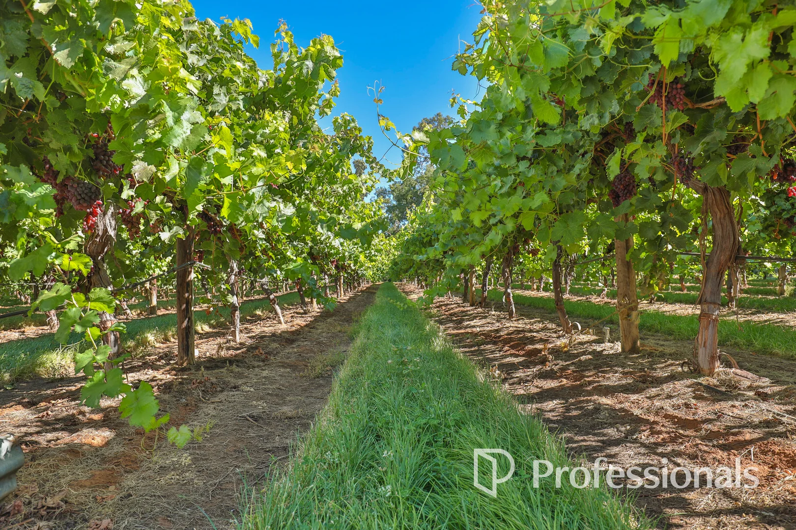 Additional image 2 of Level (Lot 2, PS911361M)/Cnr Twentieth Street & Boobook Avenue, Cardross VIC 3496