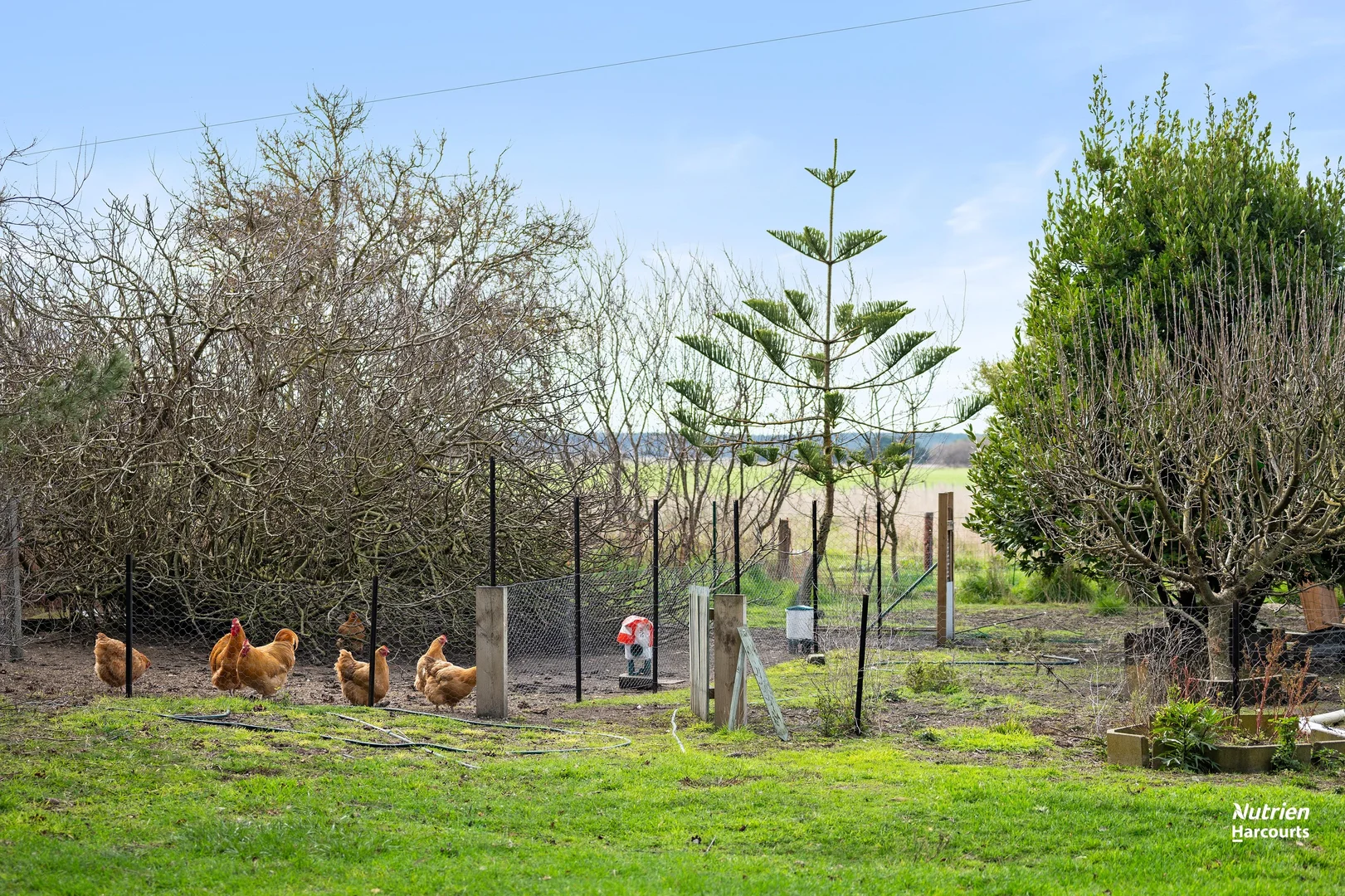 Additional image 8 of 29255 Princes Highway, Millicent SA 5280