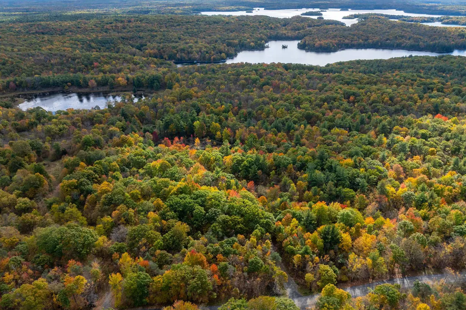 Additional image 12 of Pt Lts 12 & 13 Devil Lake Road