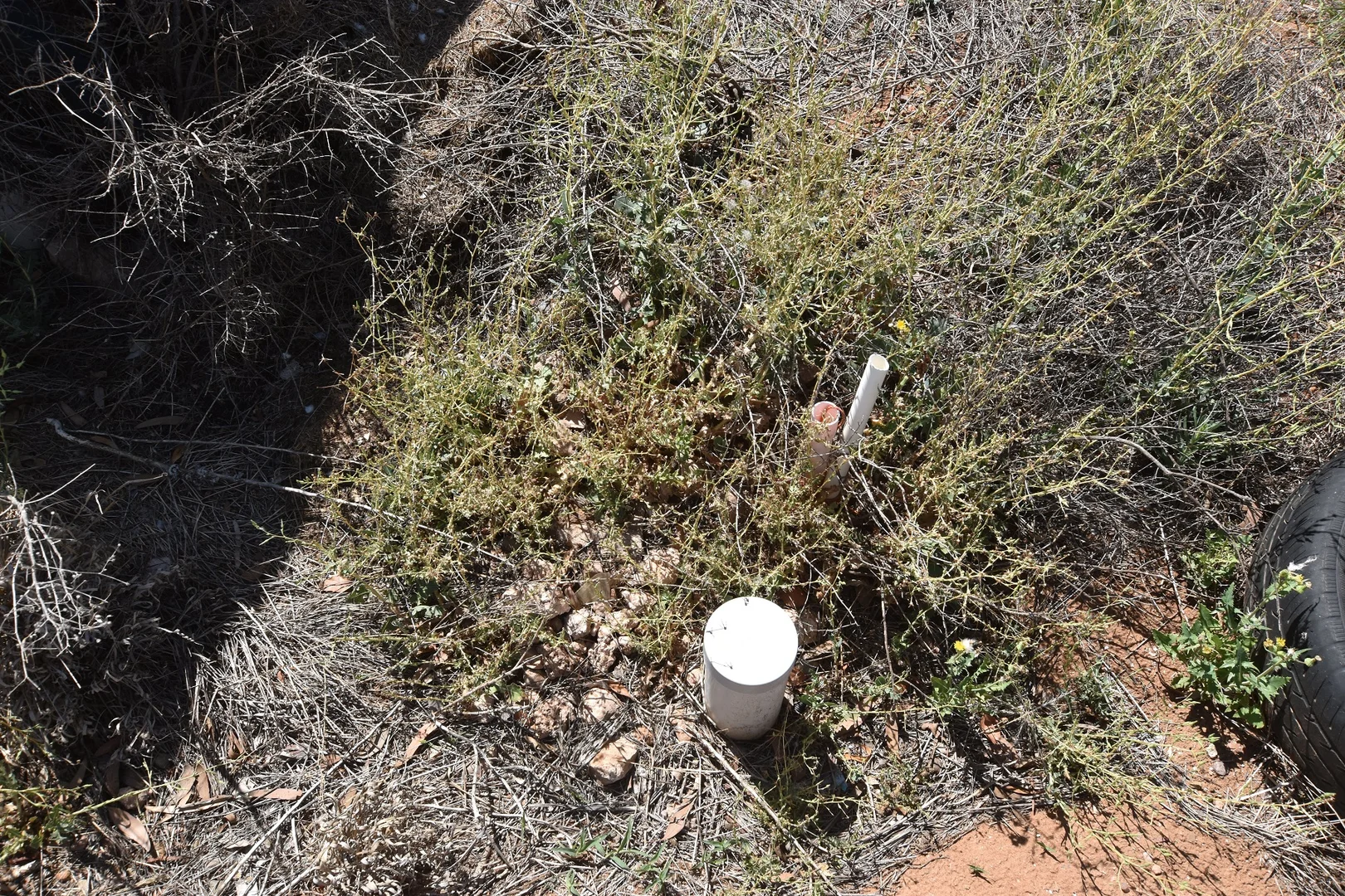 Additional image 5 of Lot 149 Foster Street, Quorn SA 5433