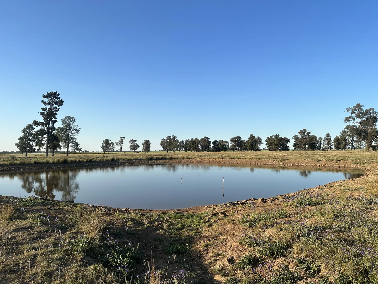 Additional image 13 of Lot 133 Troths Lane, Quandialla NSW 2721