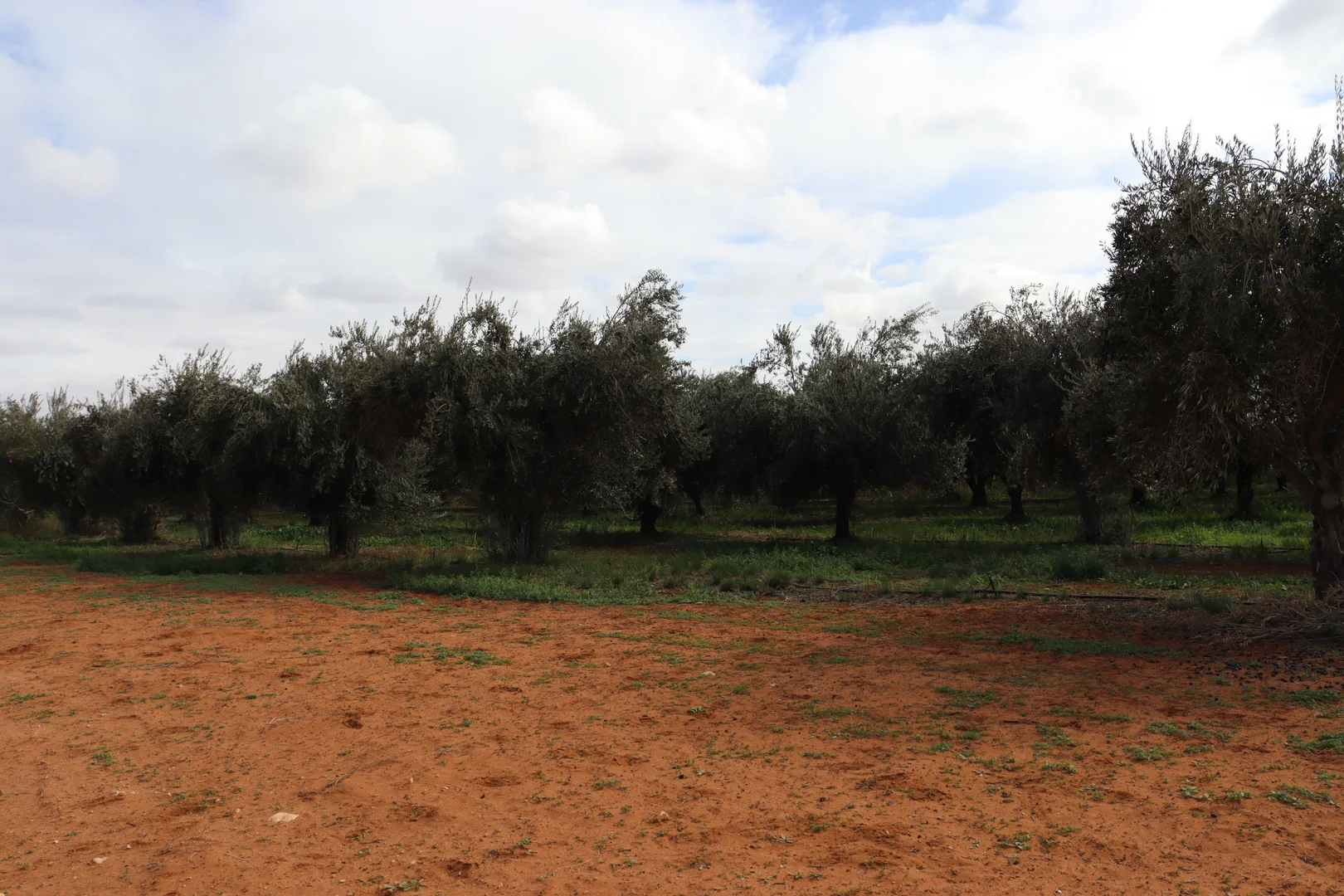 Additional image 27 of 334 Katarapko Crescent, Winkie SA 5343