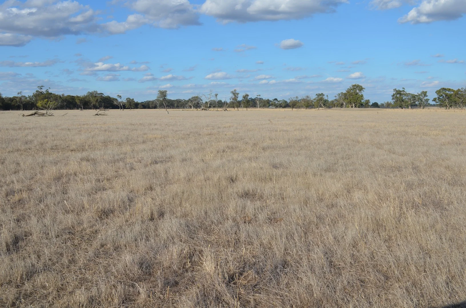 Additional image 17 of 1898 Patyah Road, Edenhope VIC 3318