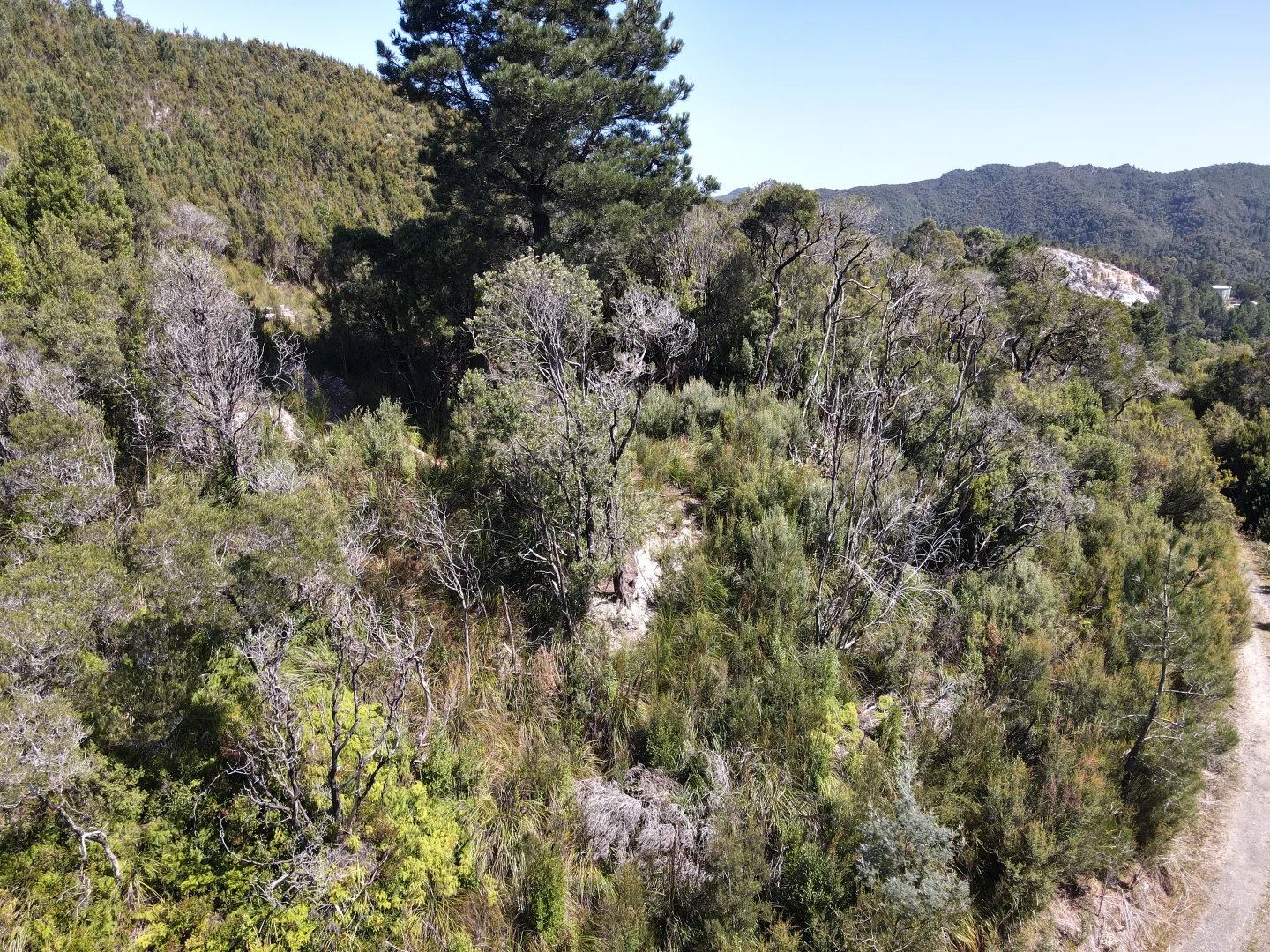 Additional image 5 of 5872342 Crotty Street, Queenstown TAS 7467