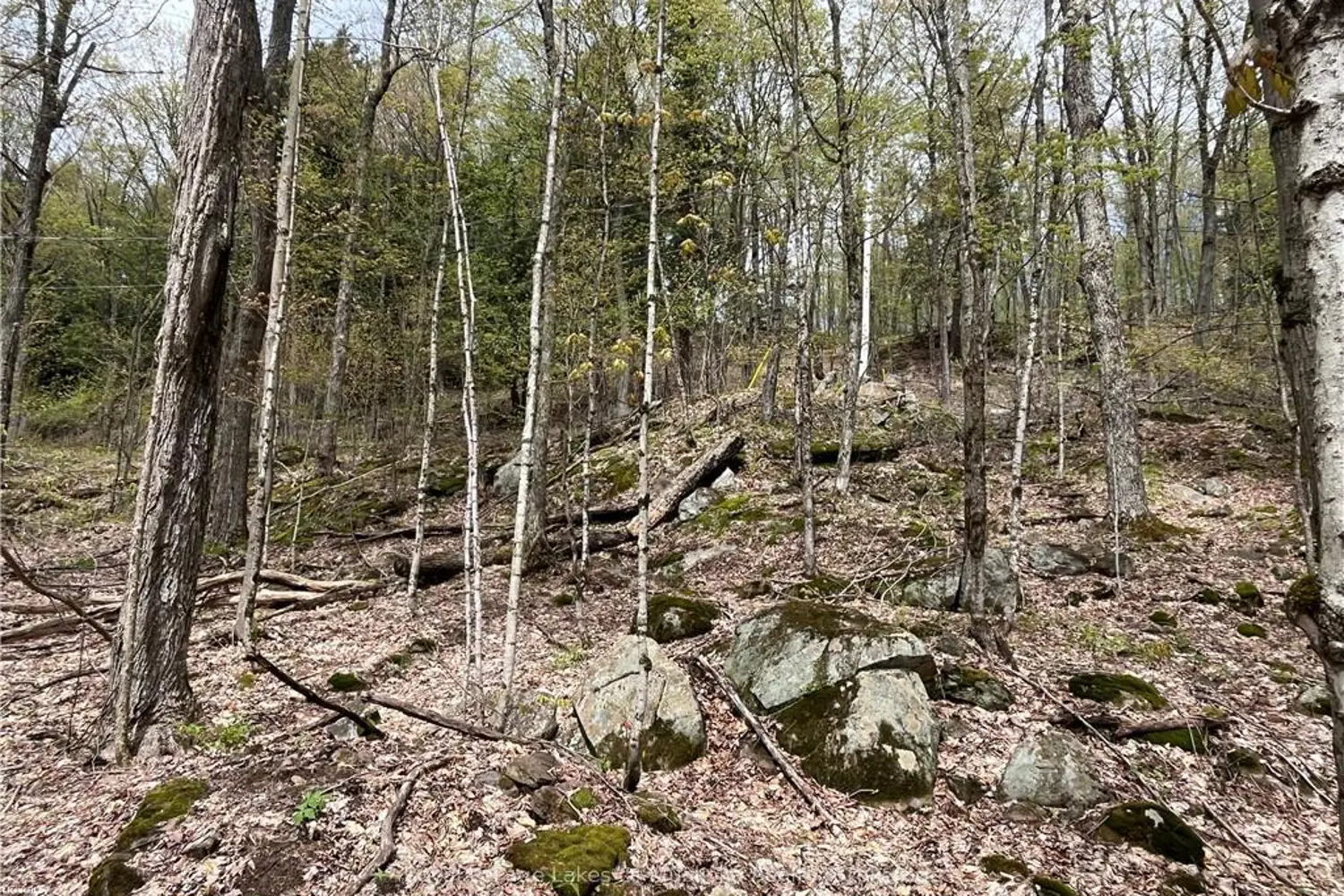 Additional image 5 of Lot 133 Brennan Circle