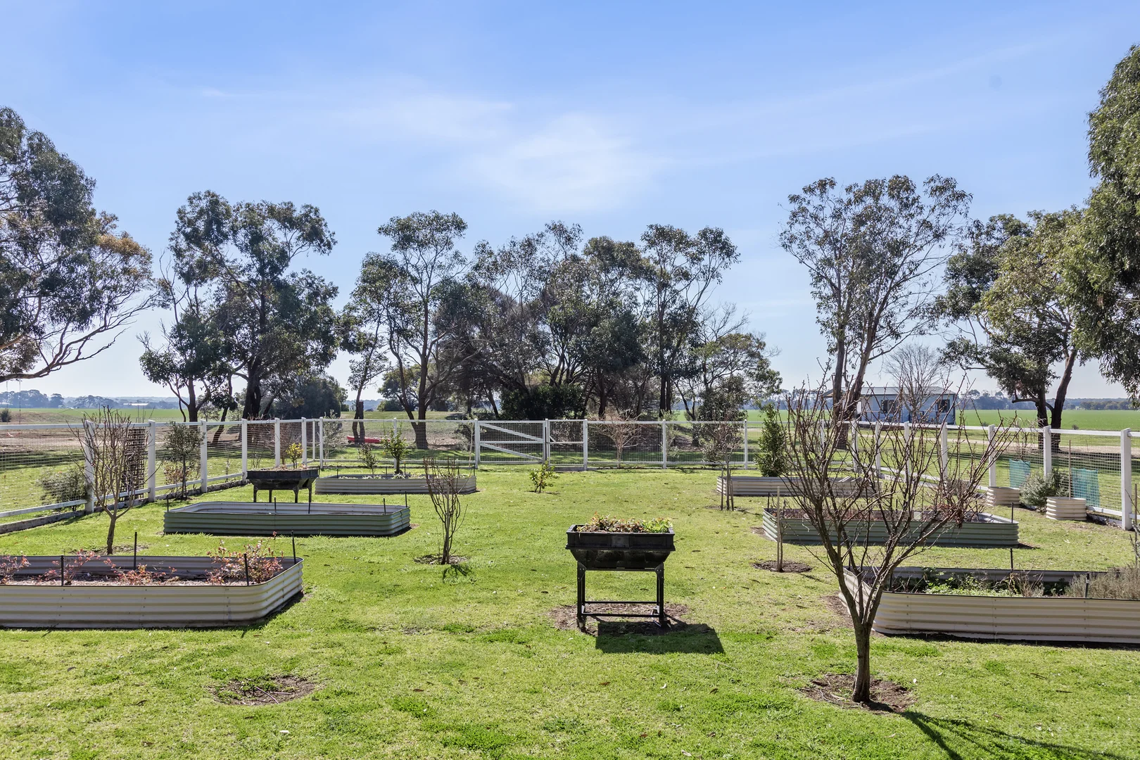 Additional image 24 of 1195 Swan Bay Road, Swan Bay VIC 3225