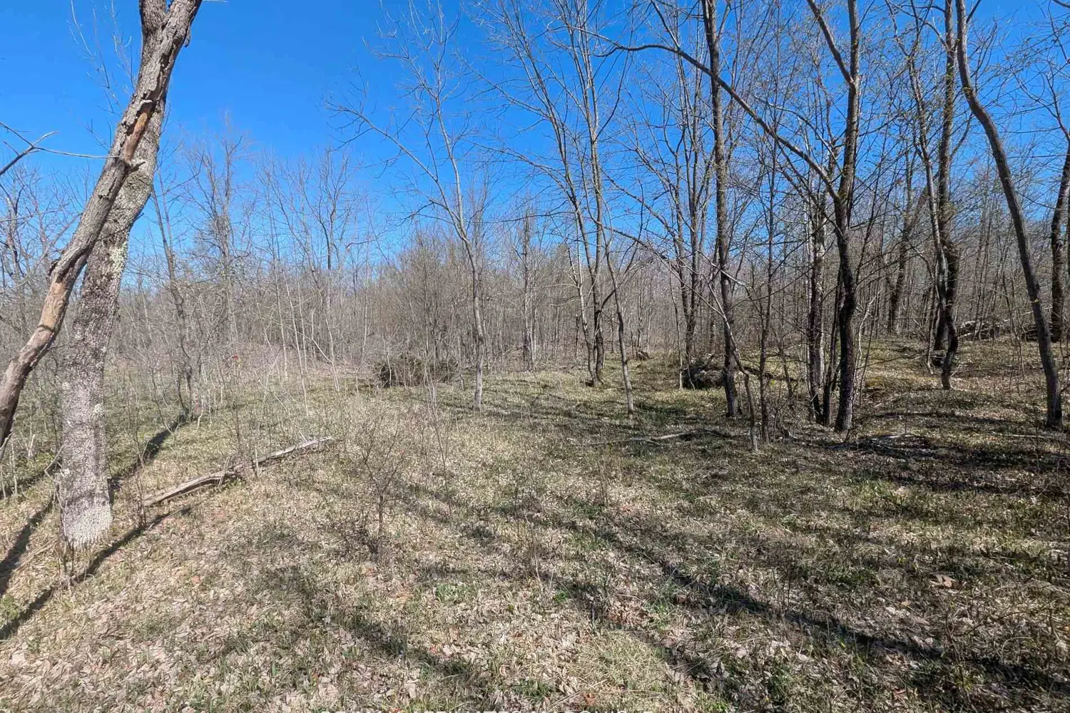 Additional image 16 of 0 Little Crosby Lake Road