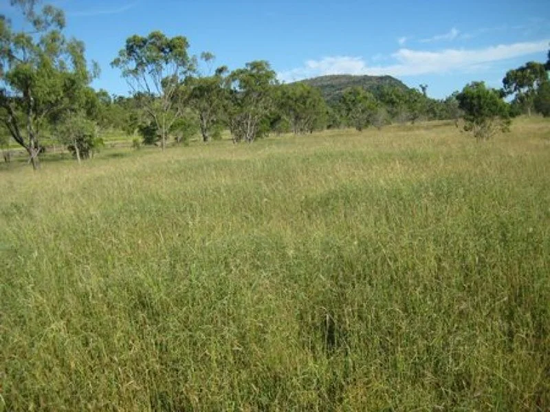 Additional image 19 of 140 Pelican Creek, Collinsville QLD 4804