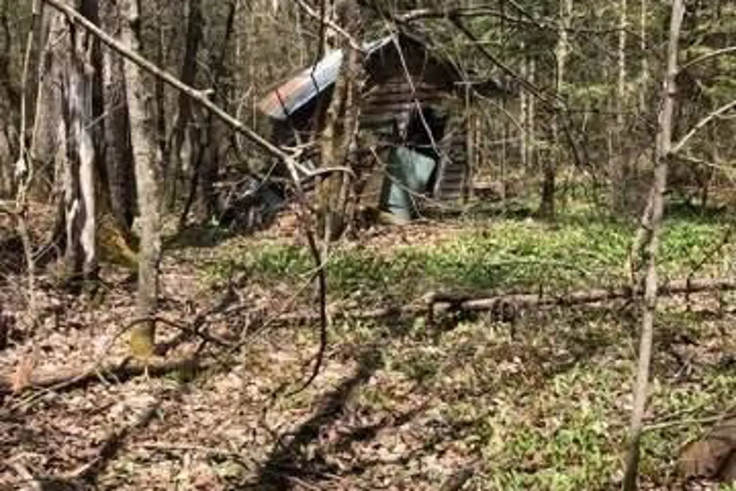 Additional image 5 of 2595 Etwell Road