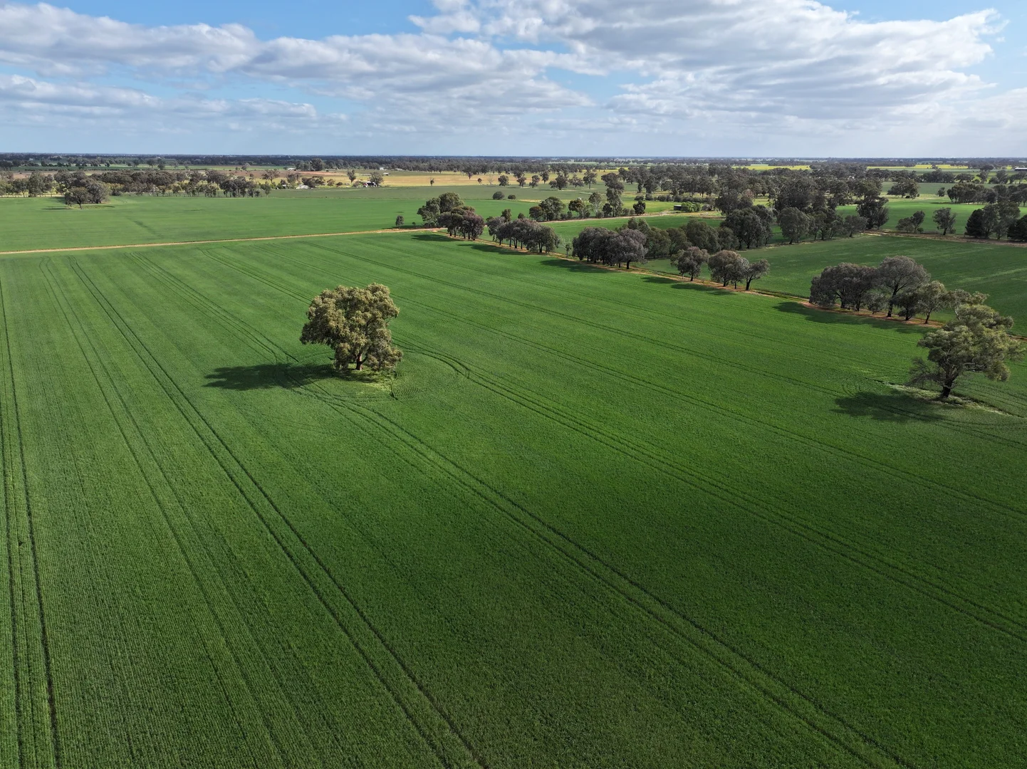 Additional image 4 of 556 Lowe Road, Rochester VIC 3561