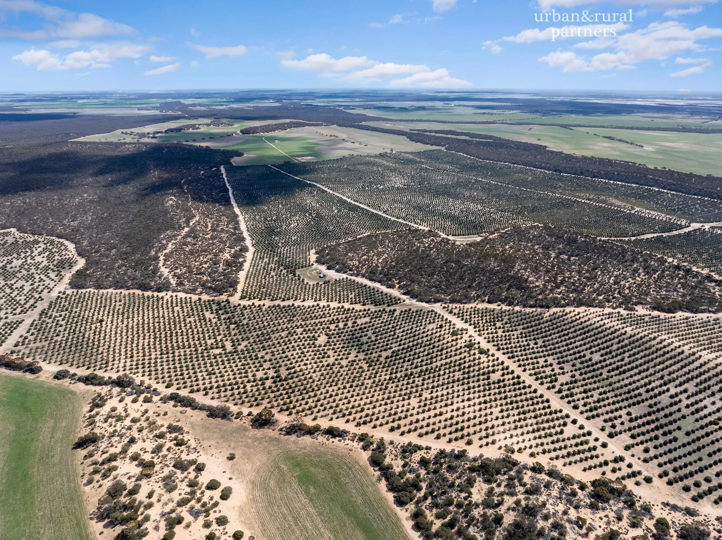 Additional image 13 of 1575 Kringin Road, Karte SA 5304