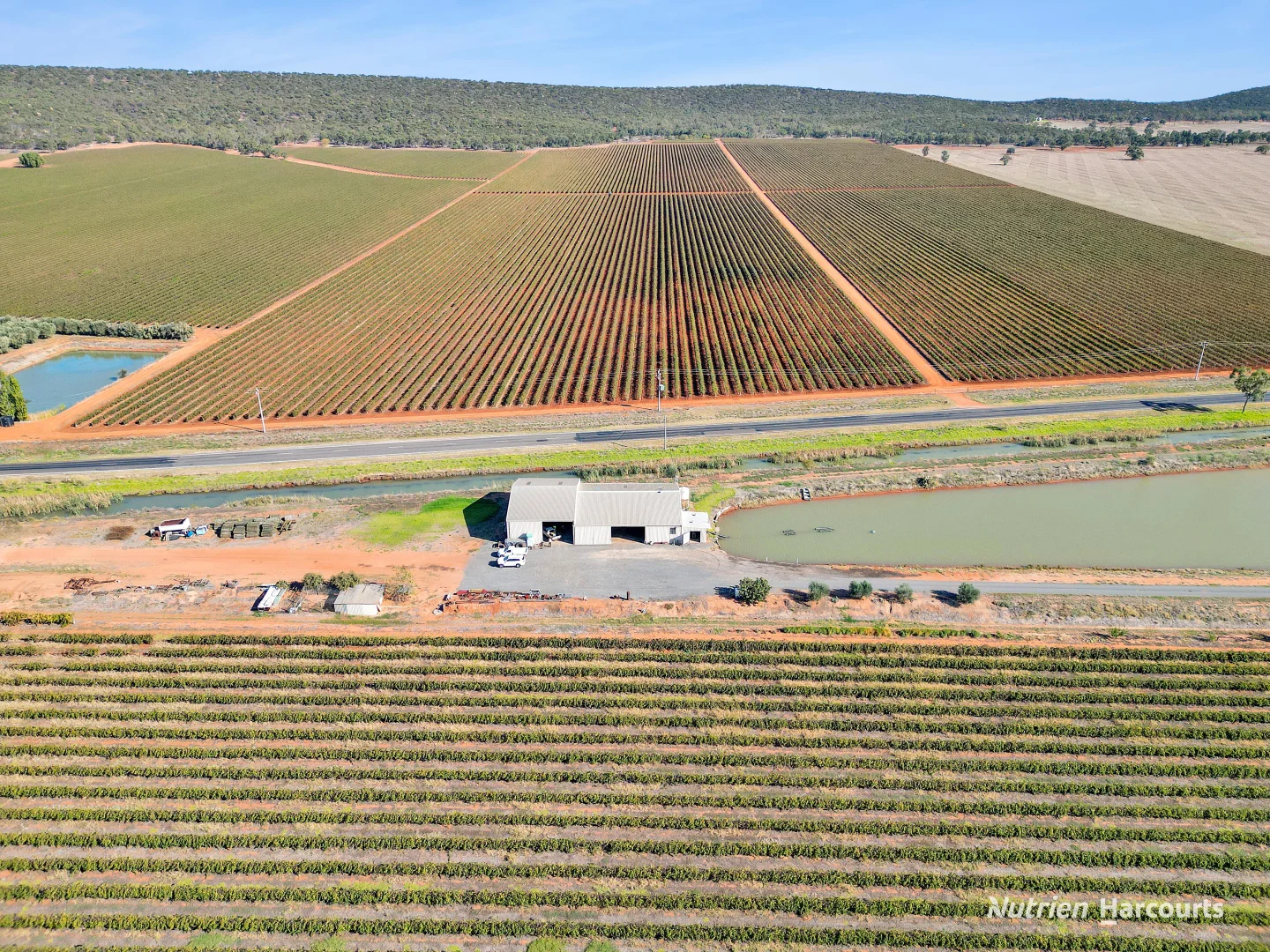 Additional image 3 of 1631 Rankins Springs Road, Myall Park NSW 2681