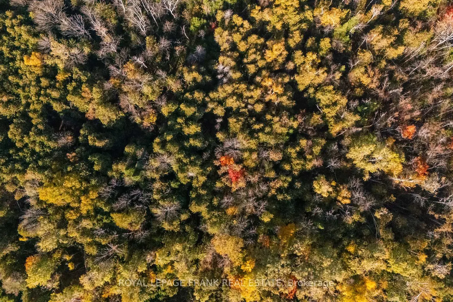 Additional image 3 of 740 Mount Horeb Road