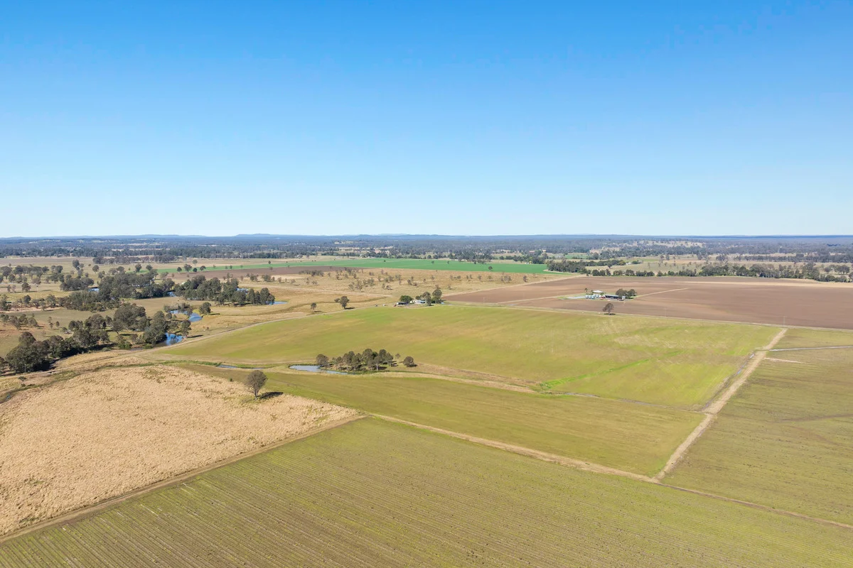 Additional image 39 of 320 Shannonbrook Road, Shannon Brook NSW 2470