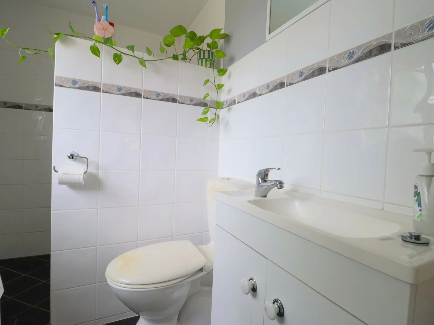 Additional image 21 of 73 Quintin Street, Roma QLD 4455