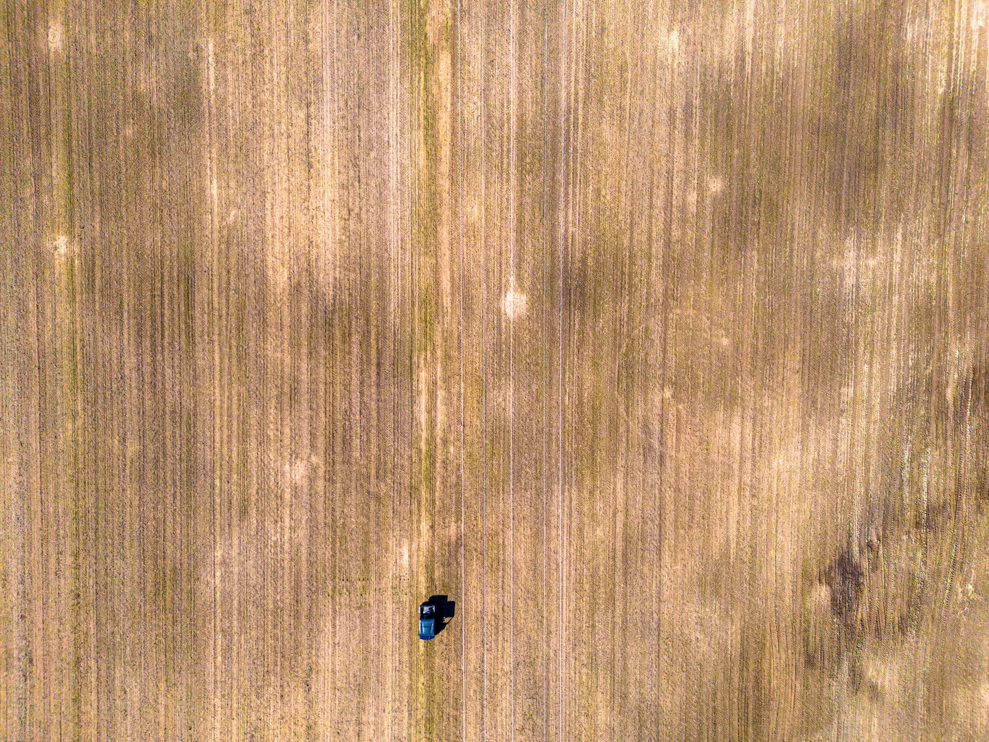 Additional image 32 of 119 Paddys Flat Road, Tabulam NSW 2469