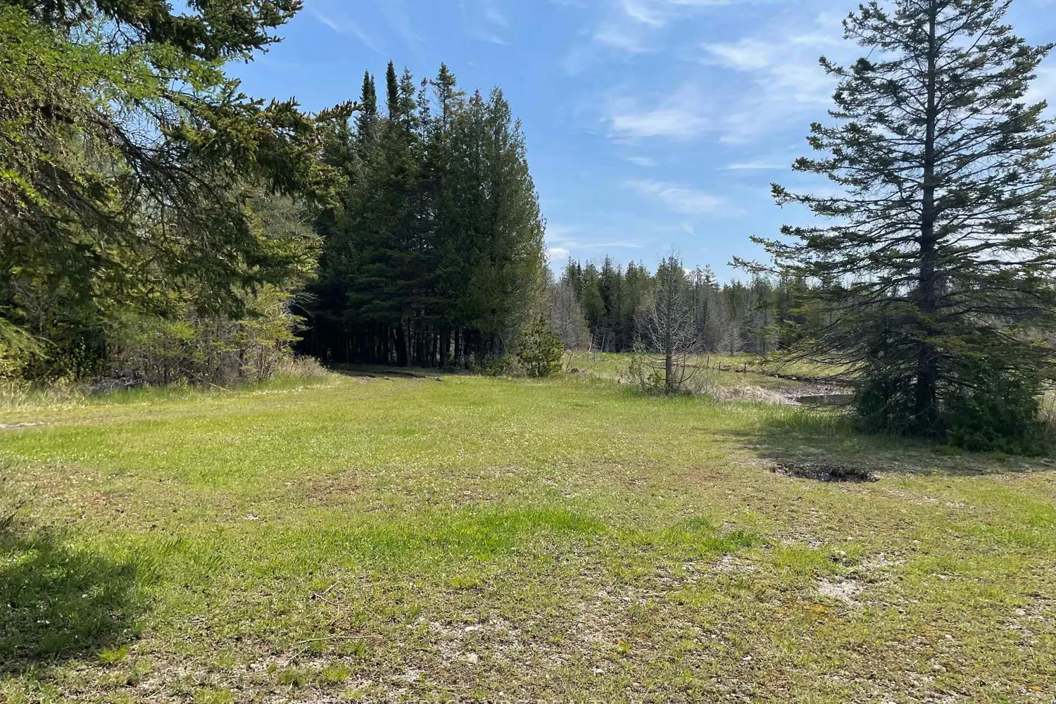 Additional image 11 of 25 Simpson Avenue