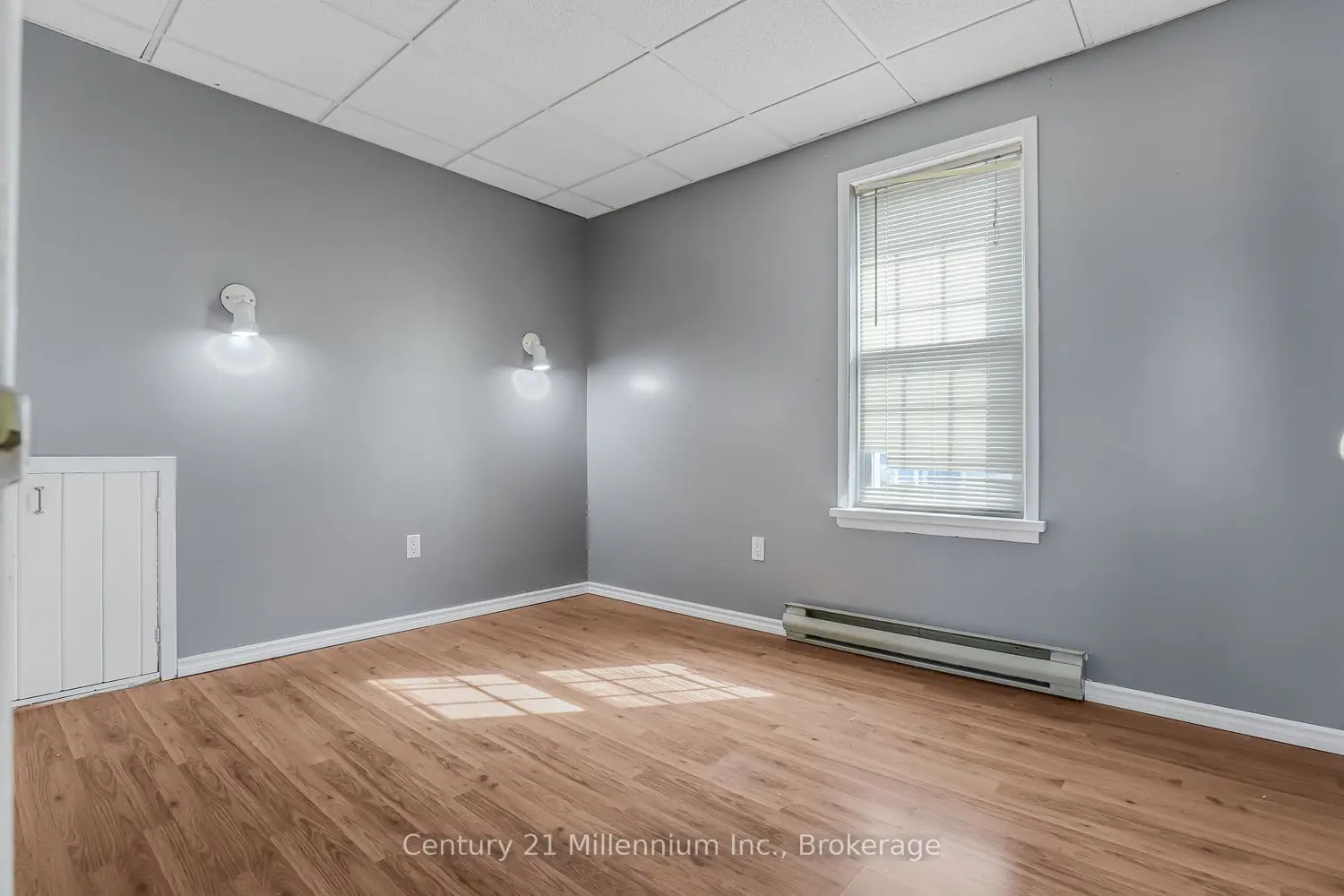 Additional image 6 of 228 Palmerston Street