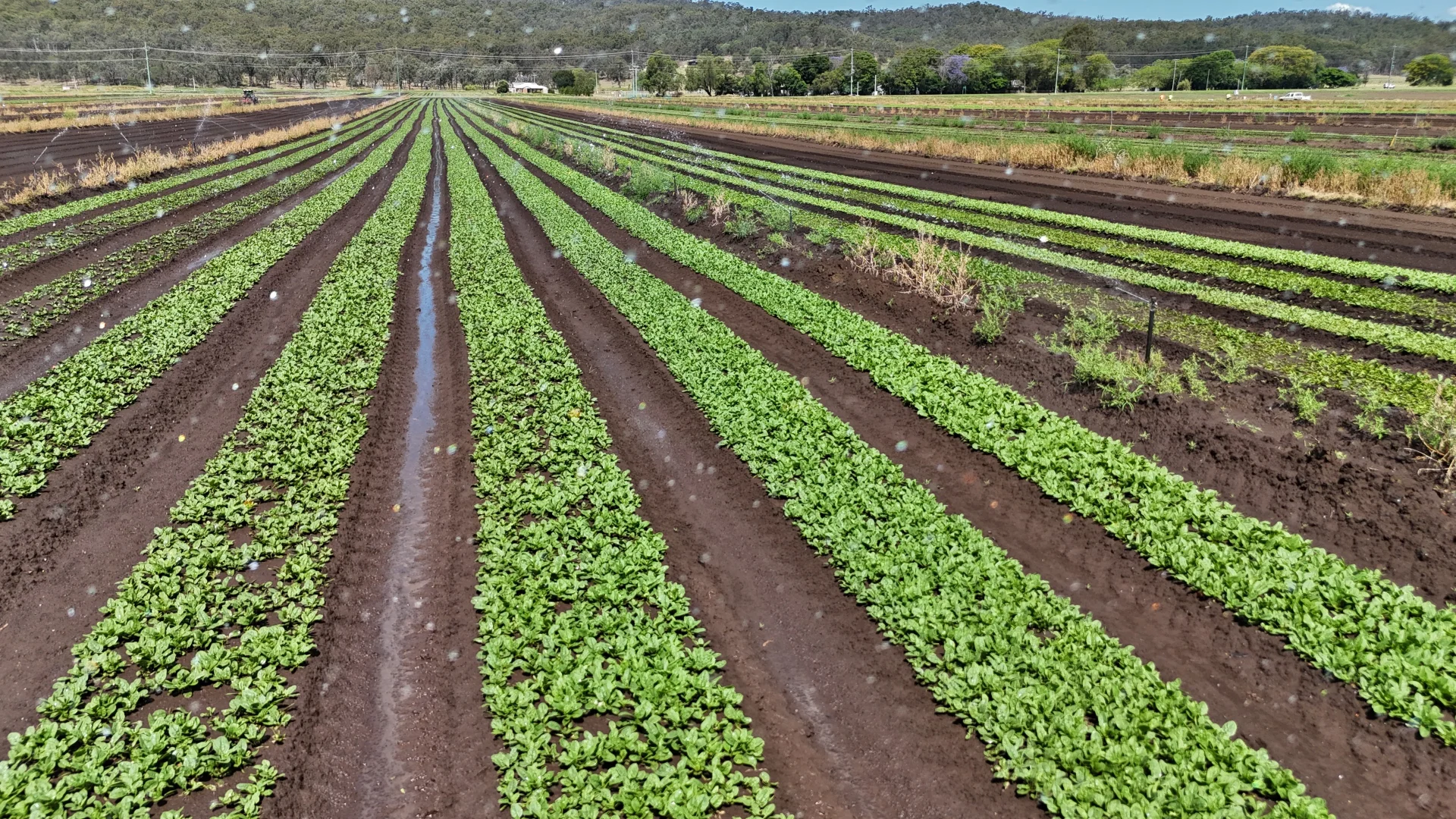 Additional image 28 of Mulgowie QLD 4341