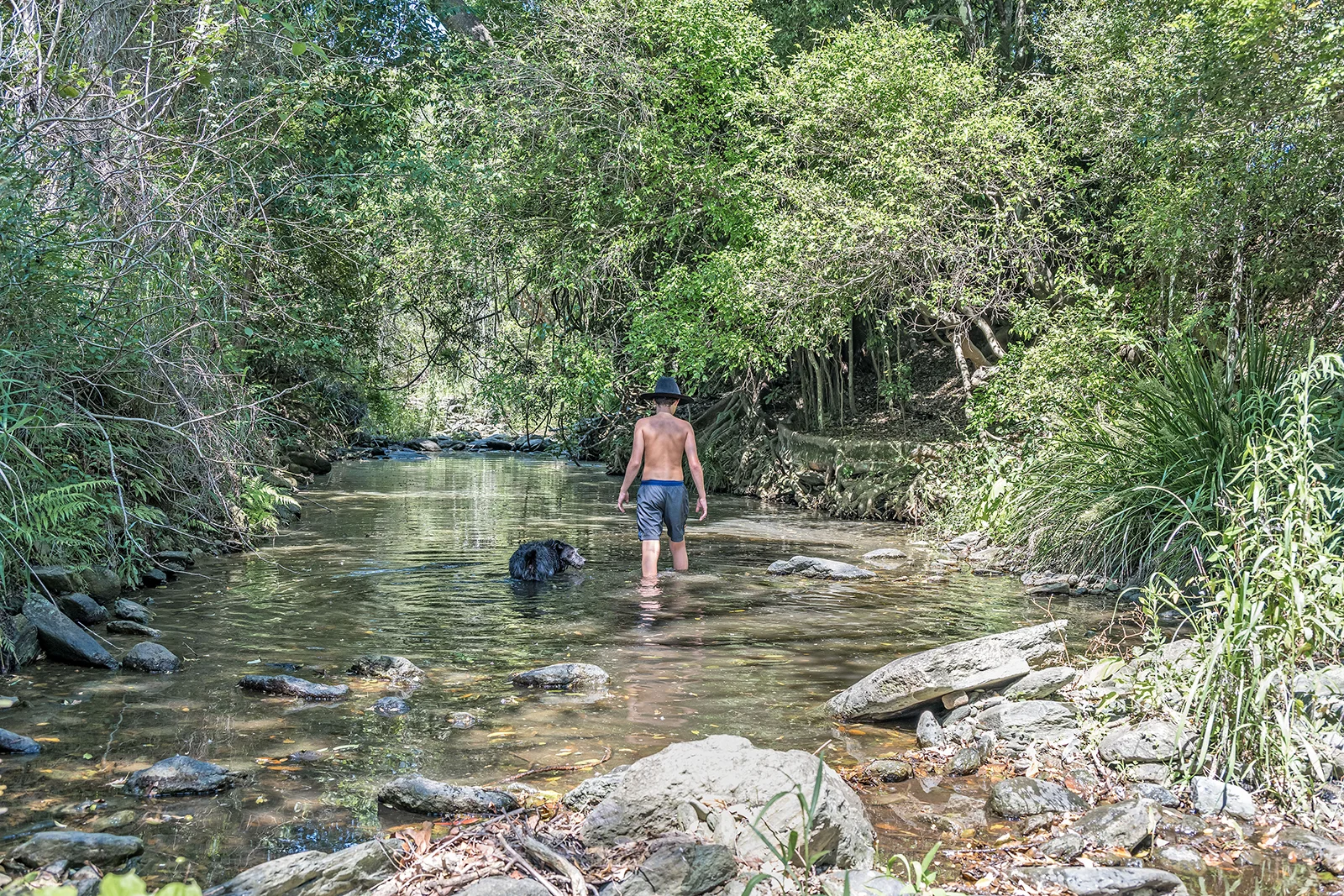 Additional image 18 of Bond Road, King Scrub QLD 4521