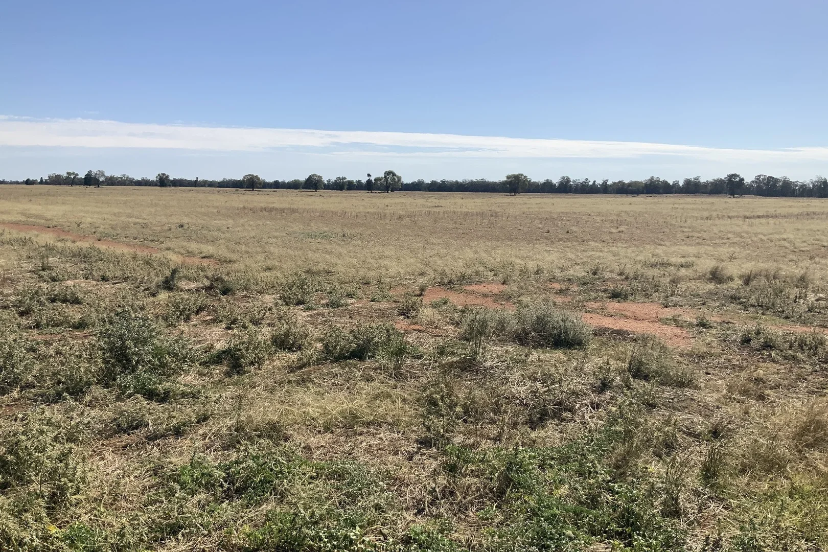 Additional image 15 of 703 Yethera Road, Tullamore NSW 2874