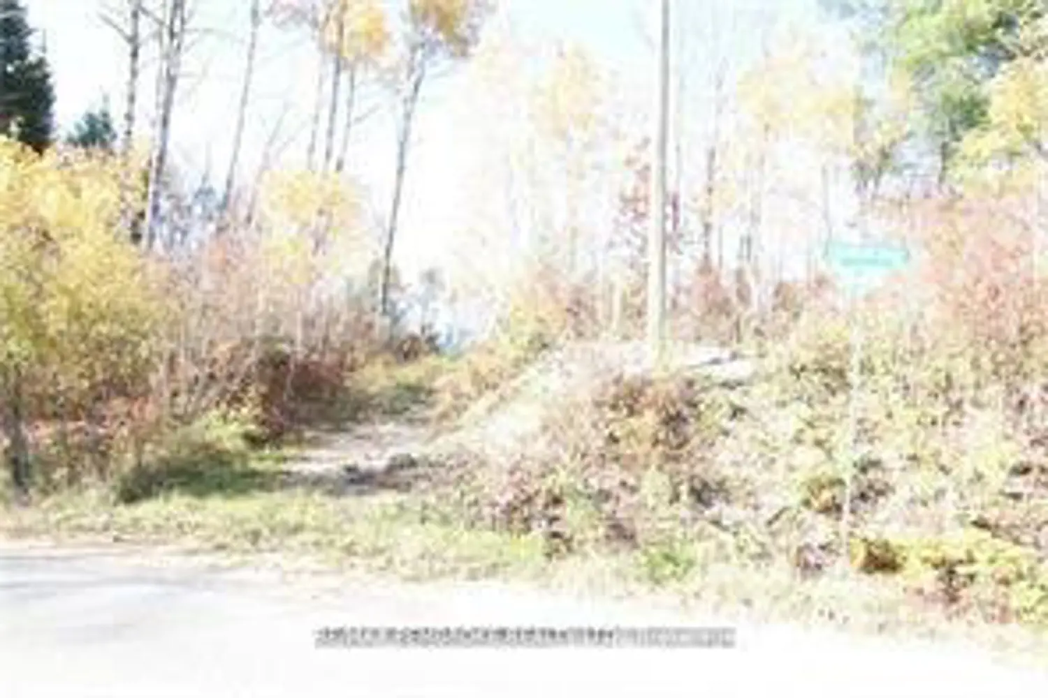 Additional image 18 of 0 Thomson Road