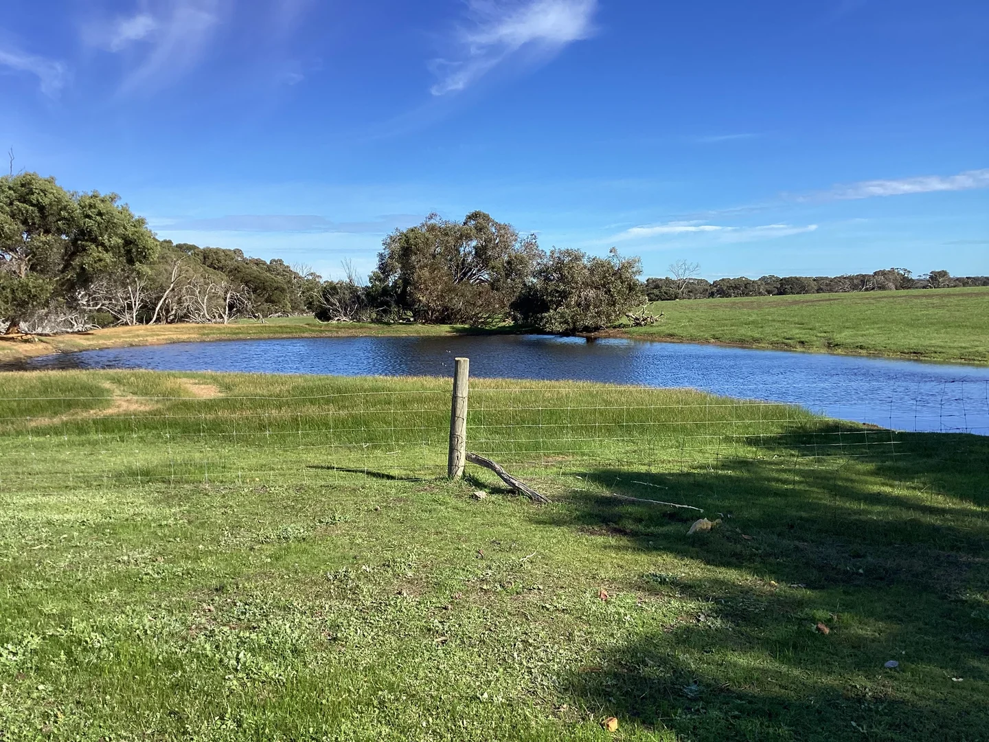 Additional image 9 of Lot 101 Schaefer Road, Seddon SA 5223