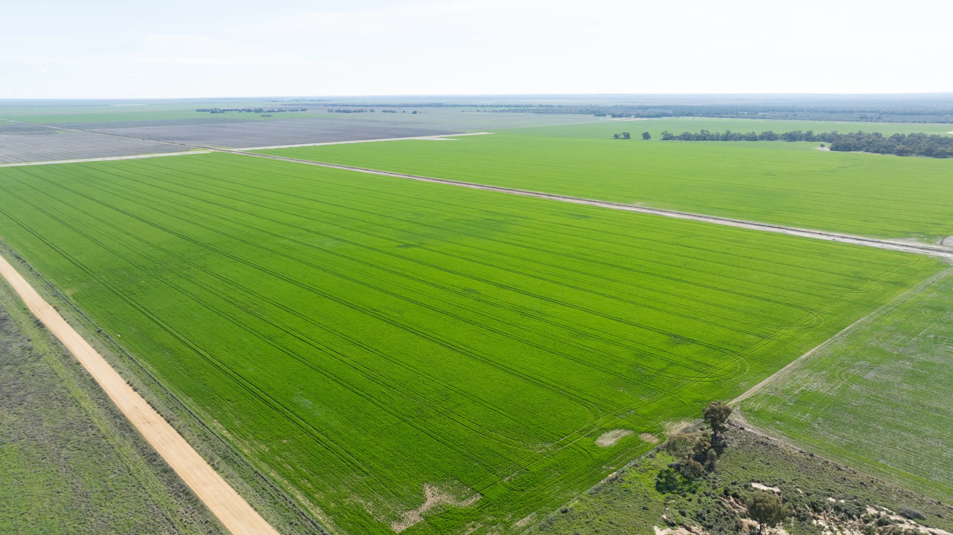 Additional image 3 of Smeatonvale Laterals Boree-Morago Rd, Deniliquin NSW 2710