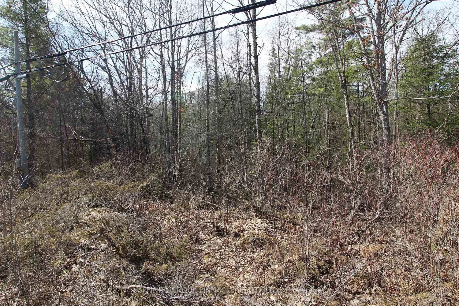 Additional image 9 of Lot 15 Concession 9
