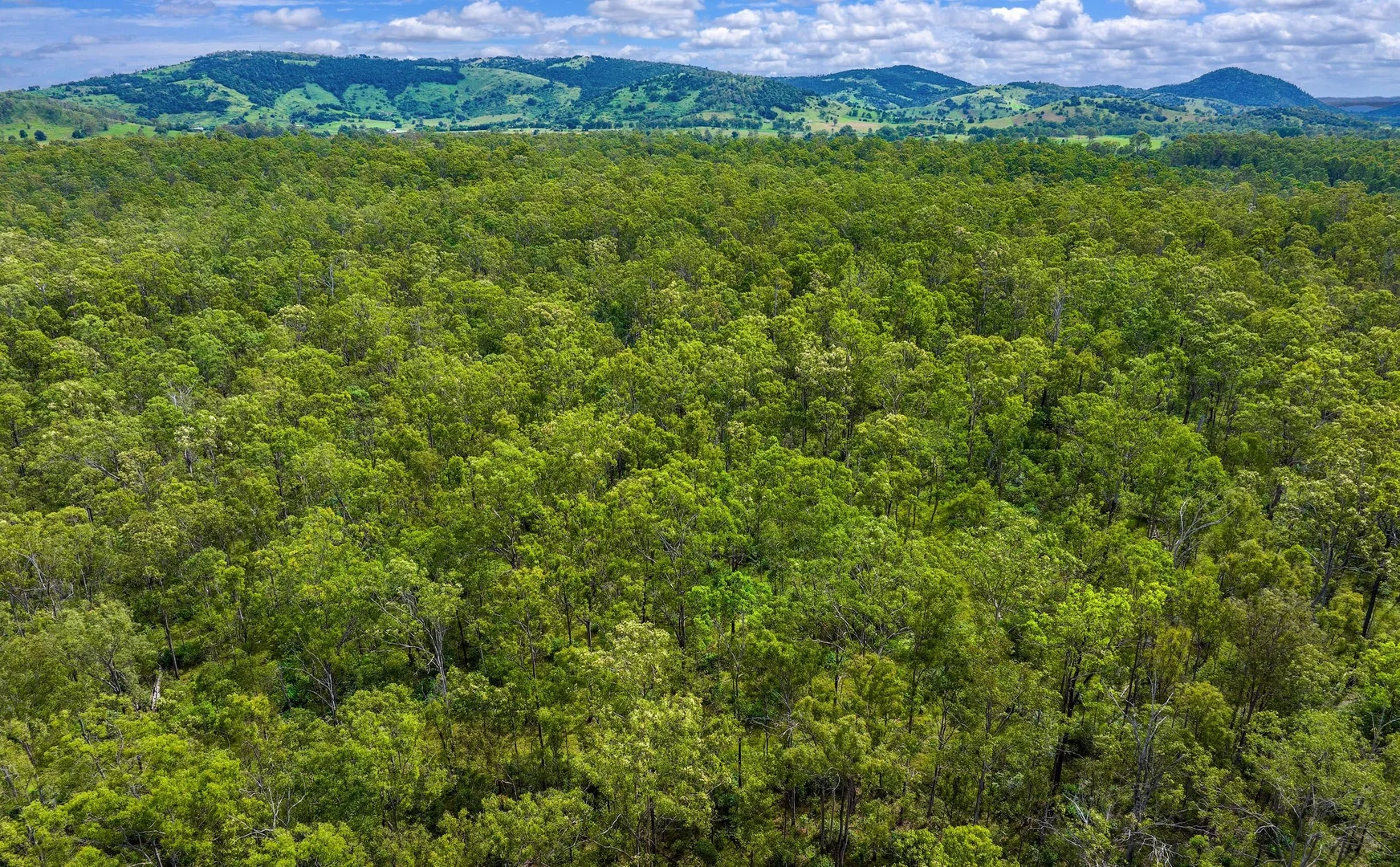 Additional image 11 of Lot L984 Arborfourteen Road, Glenwood QLD 4570