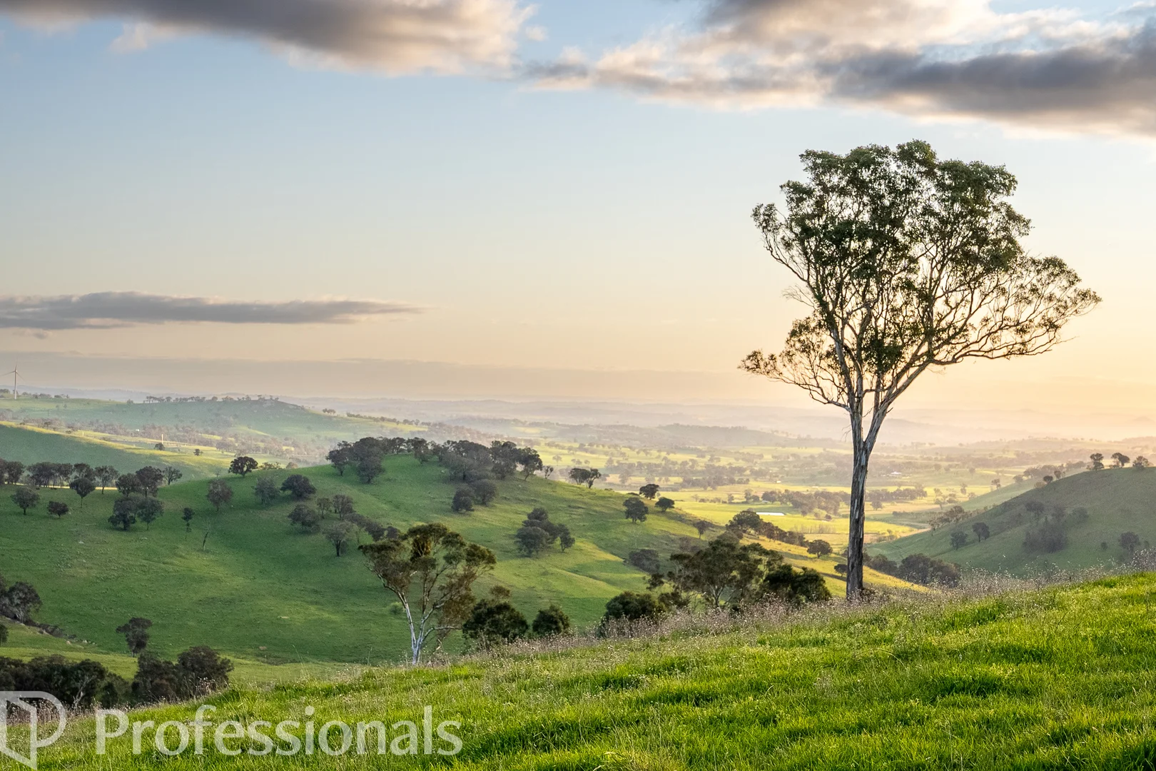 Additional image 54 of 361 Dicksons Lane, Orange NSW 2800