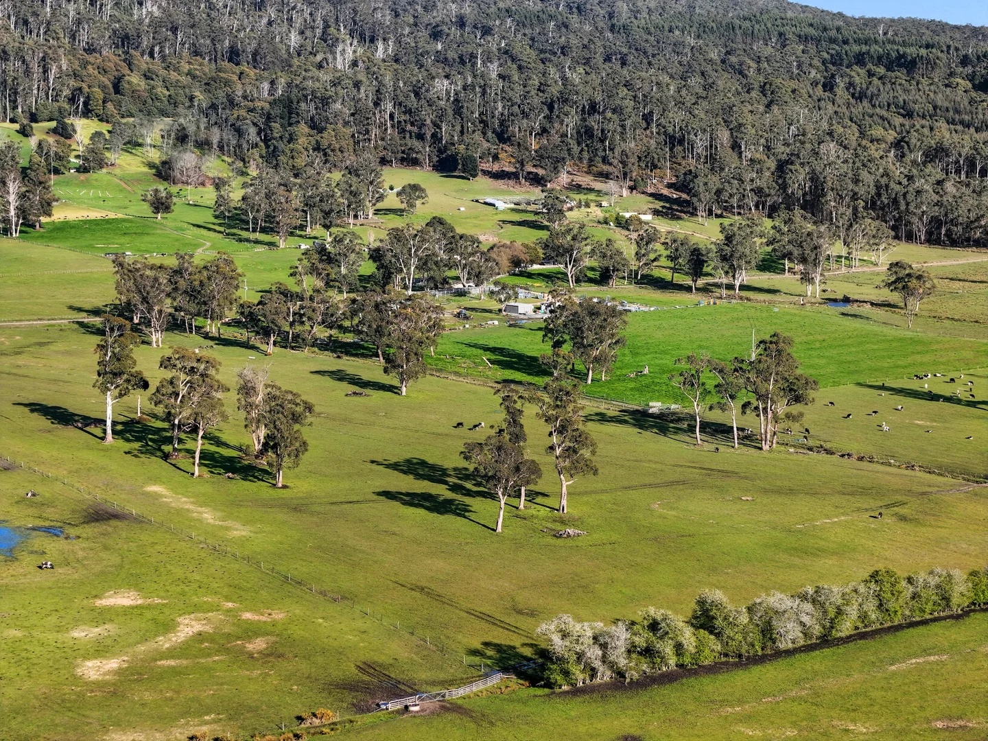 Additional image 5 of 226 Larcombes Road, Reedy Marsh TAS 7304