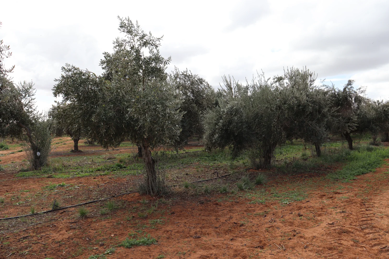 Additional image 26 of 334 Katarapko Crescent, Winkie SA 5343