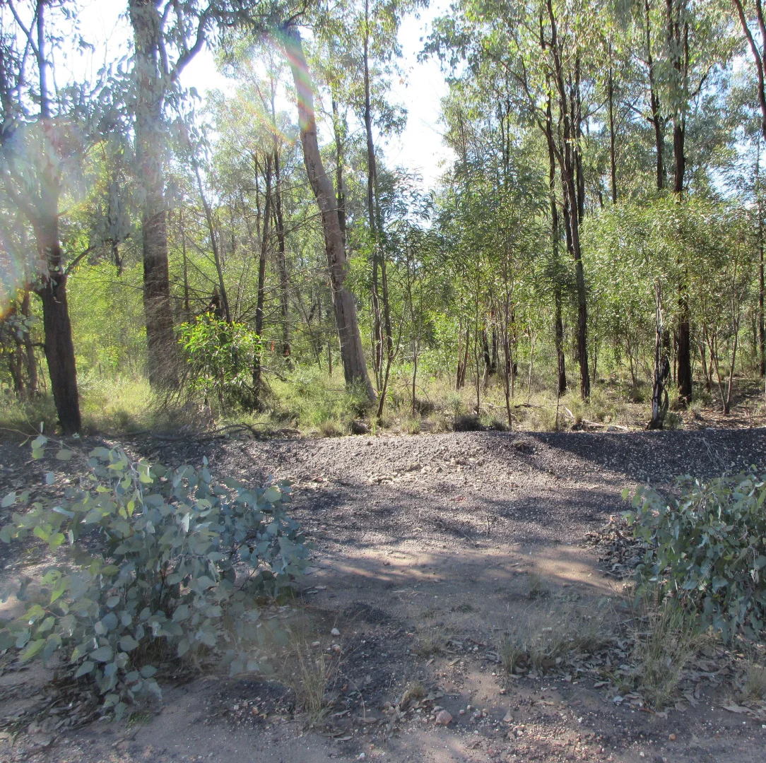 Additional image 3 of Lot/33 Gazzards Road, Tara QLD 4421
