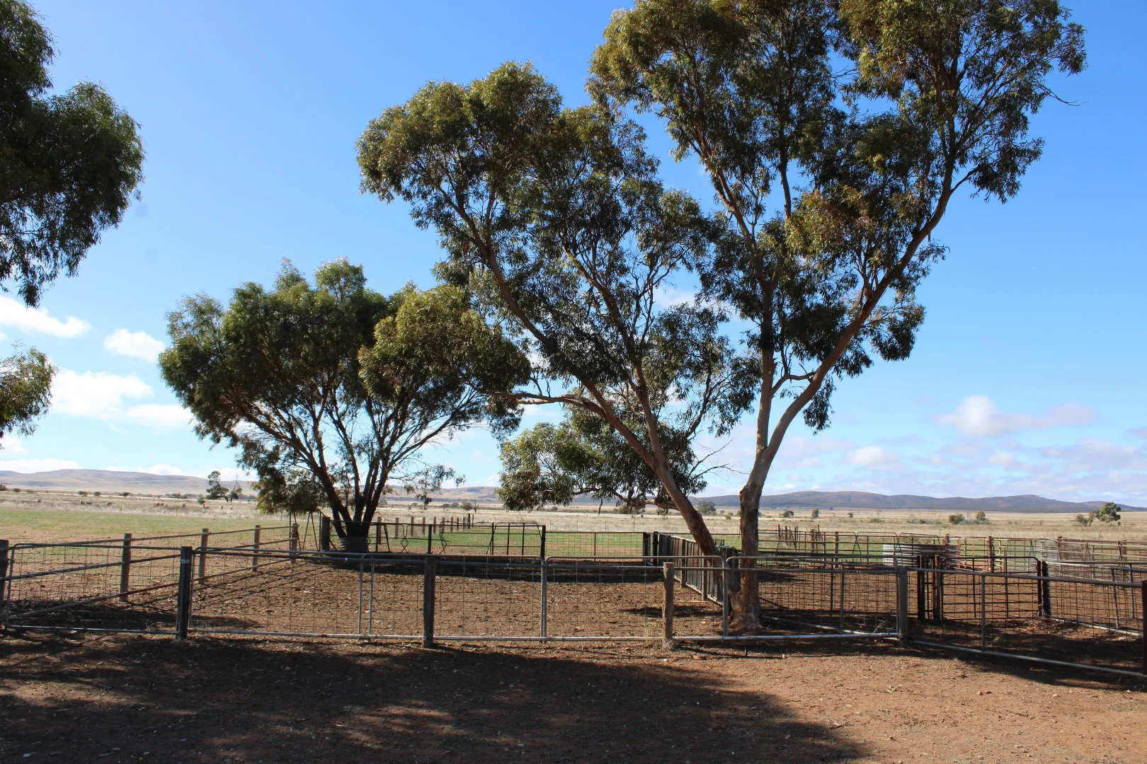 Additional image 27 of "Woodlands" Black Rock Road, Minvalara SA 5422