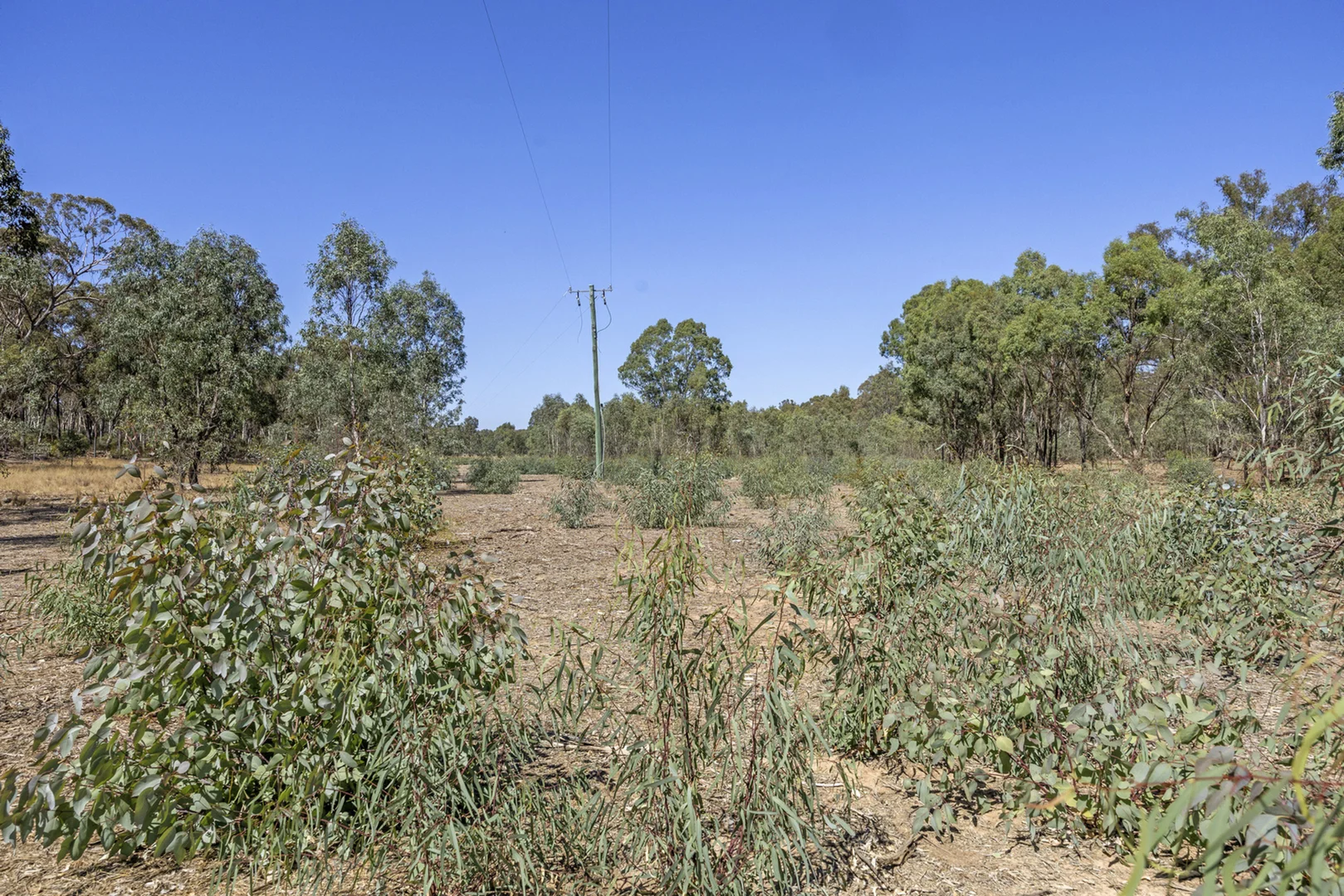 Additional image 5 of Lots 1 & 2 Quinns Road, Wellsford VIC 3551