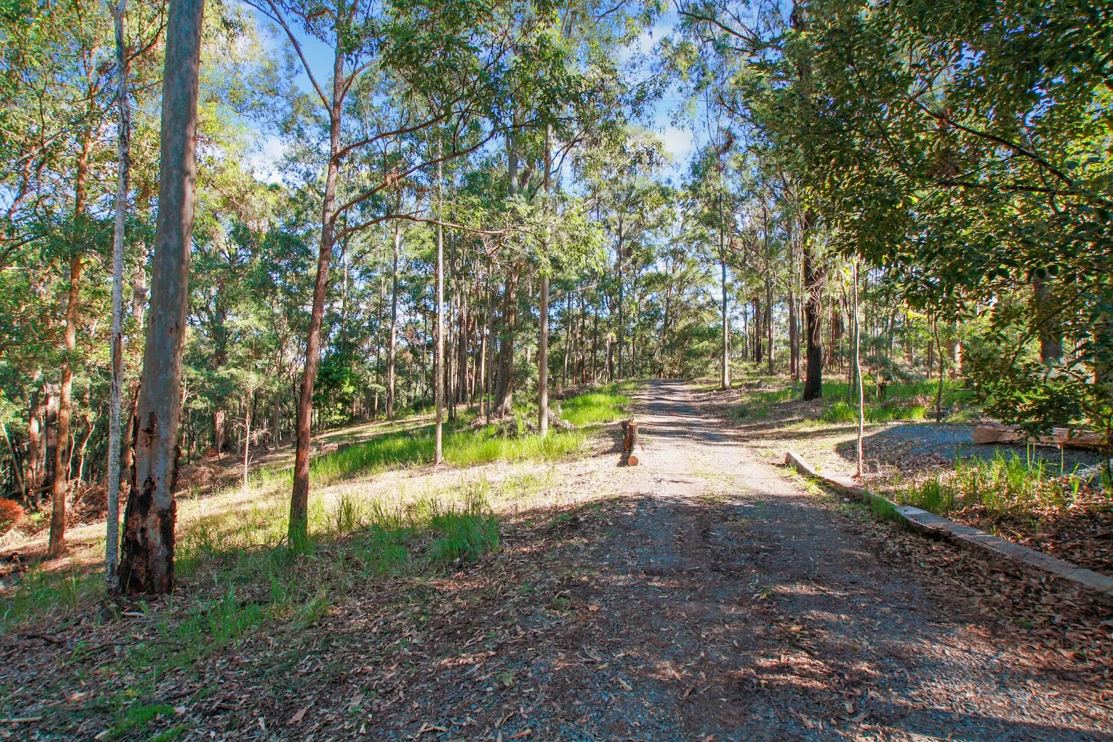 Additional image 4 of 94 Holyrood Road, Maudsland QLD 4210