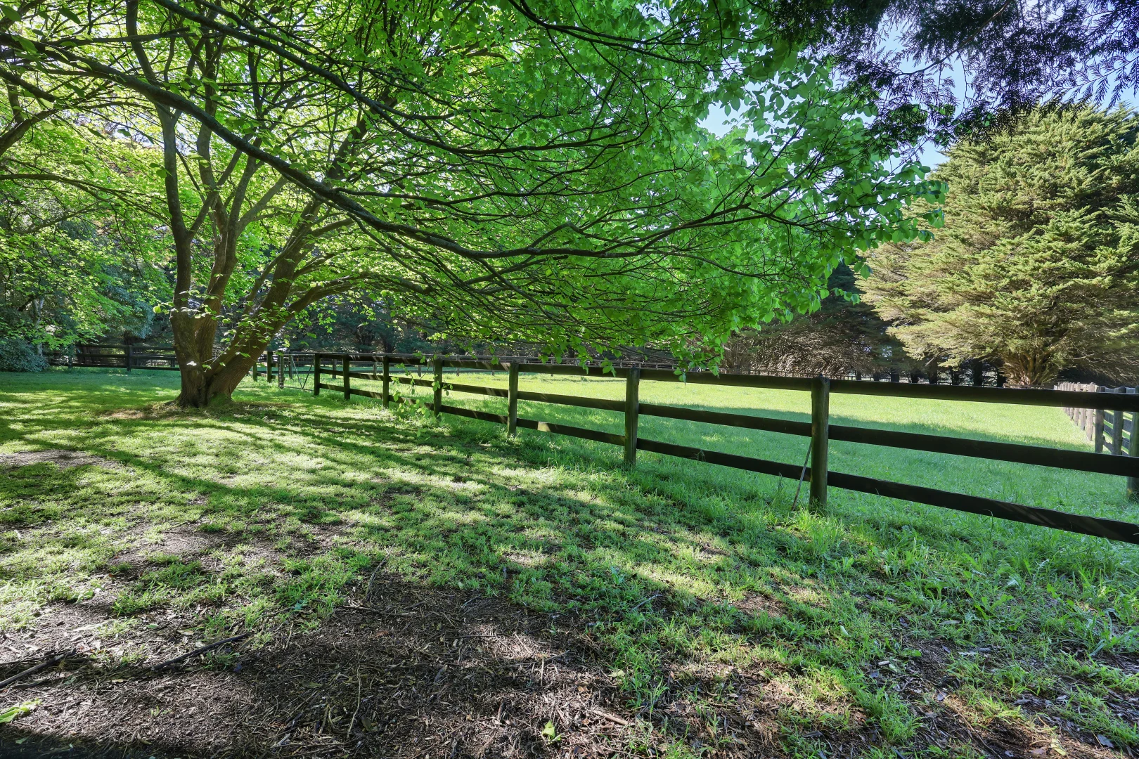 Additional image 26 of 935 Lardners Track, Warragul VIC 3820