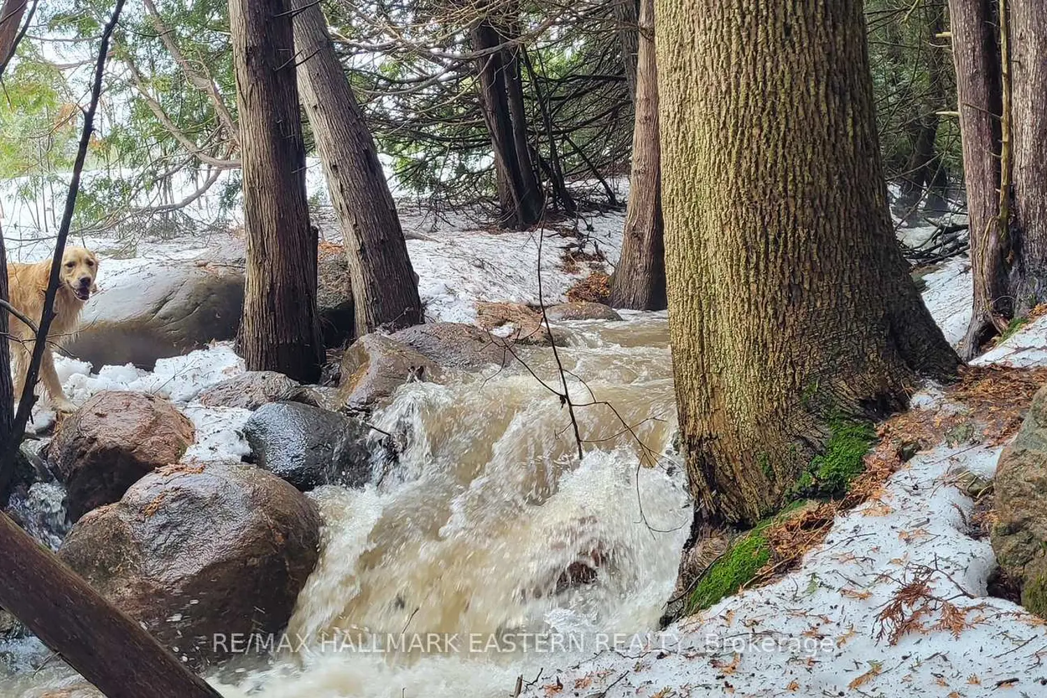 Additional image 14 of 323 Orange Corners Road