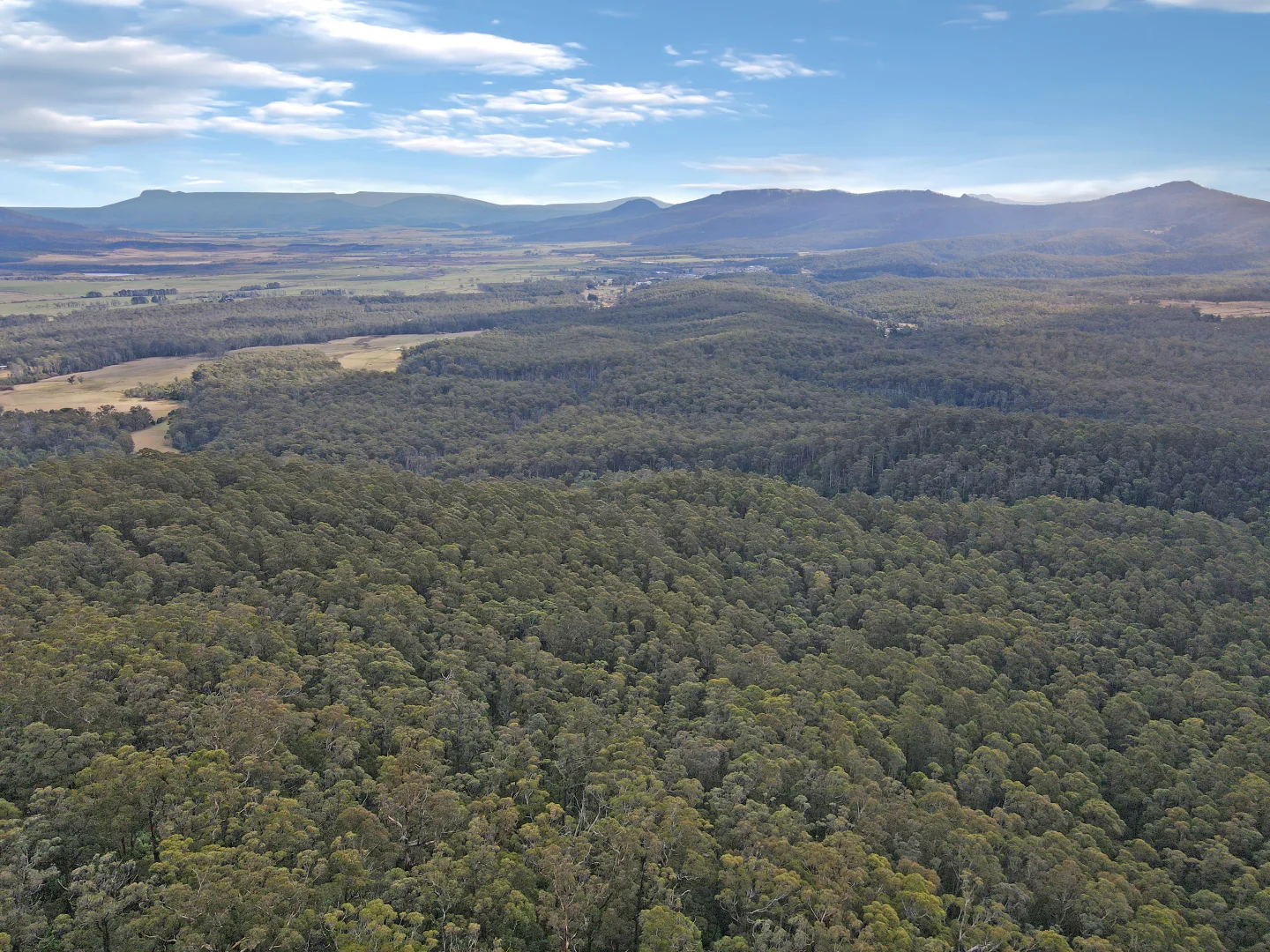 Additional image 7 of PID 6408103 Irish Town Road, St Marys TAS 7215