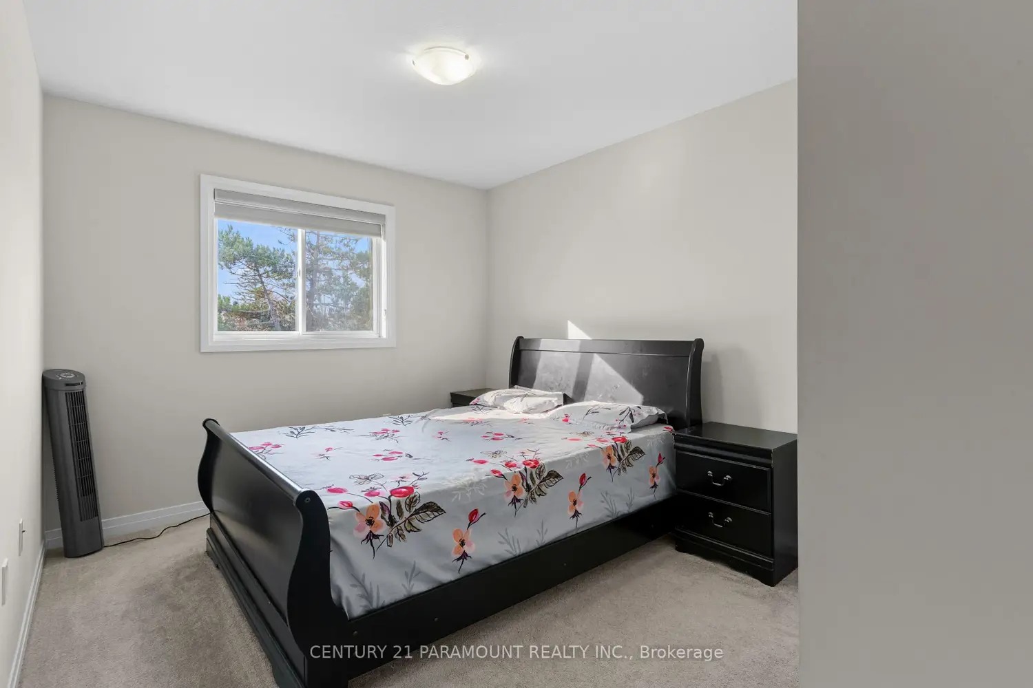 Additional image 13 of 520 Grey Street 5