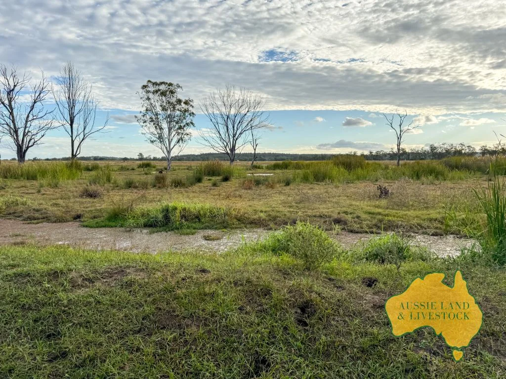 Additional image 56 of 8 SCREENING PLANT ROAD, Cynthia QLD 4627