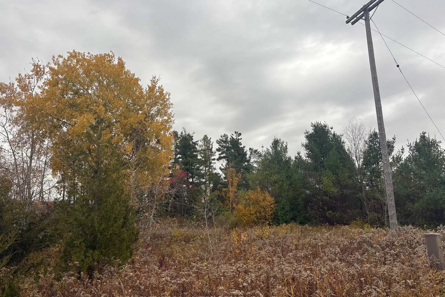 Additional image 2 of 0 Godolphin Road