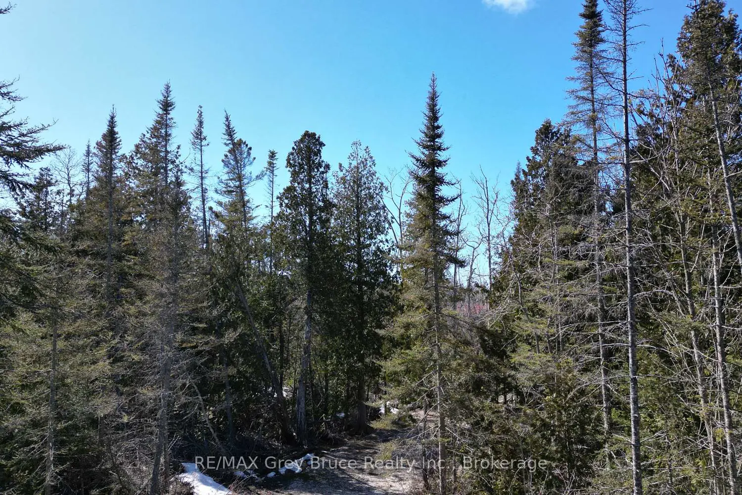 Additional image 10 of 31 Baise Avenue