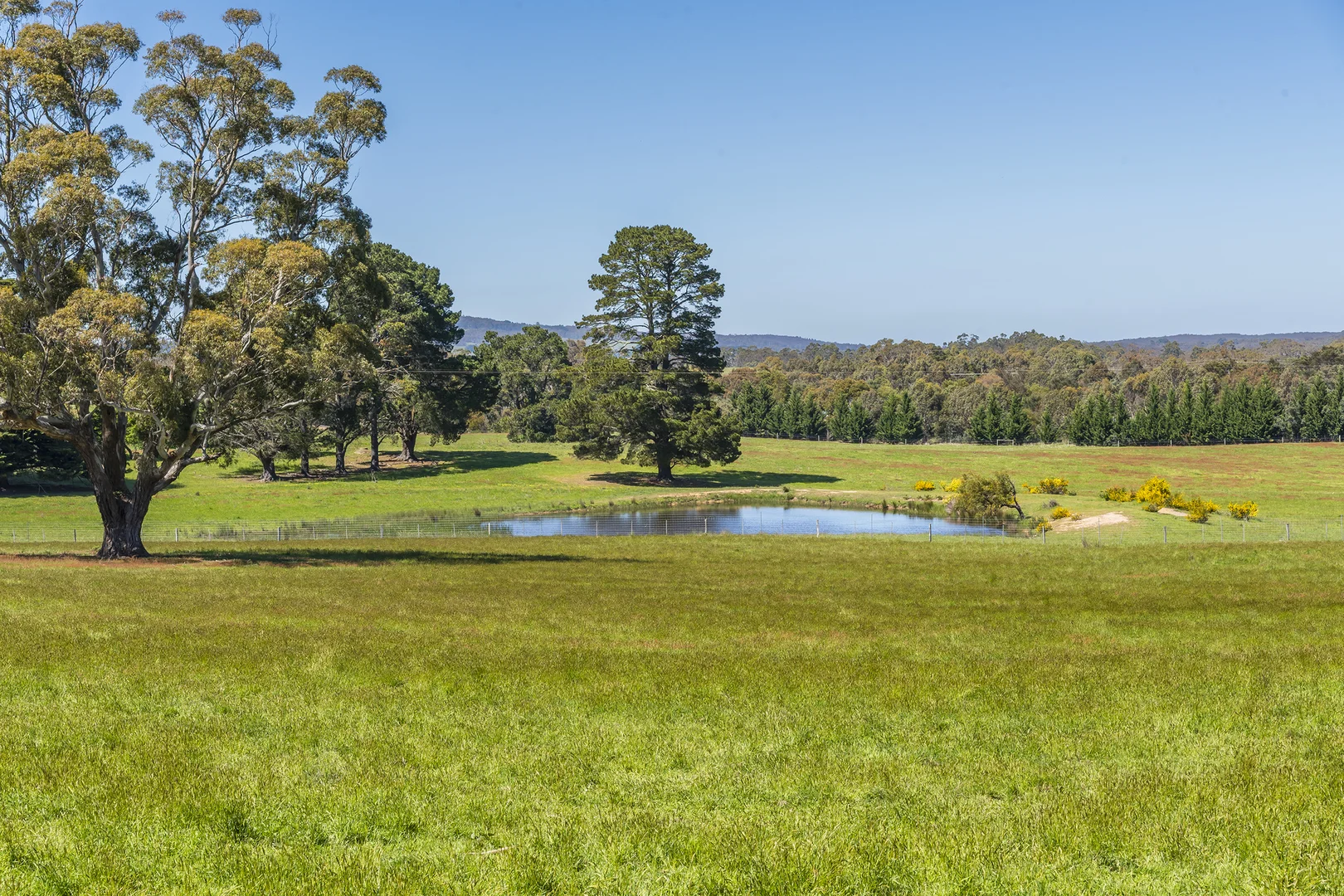 Additional image 22 of 181 Black Forest Drive, Macedon VIC 3440